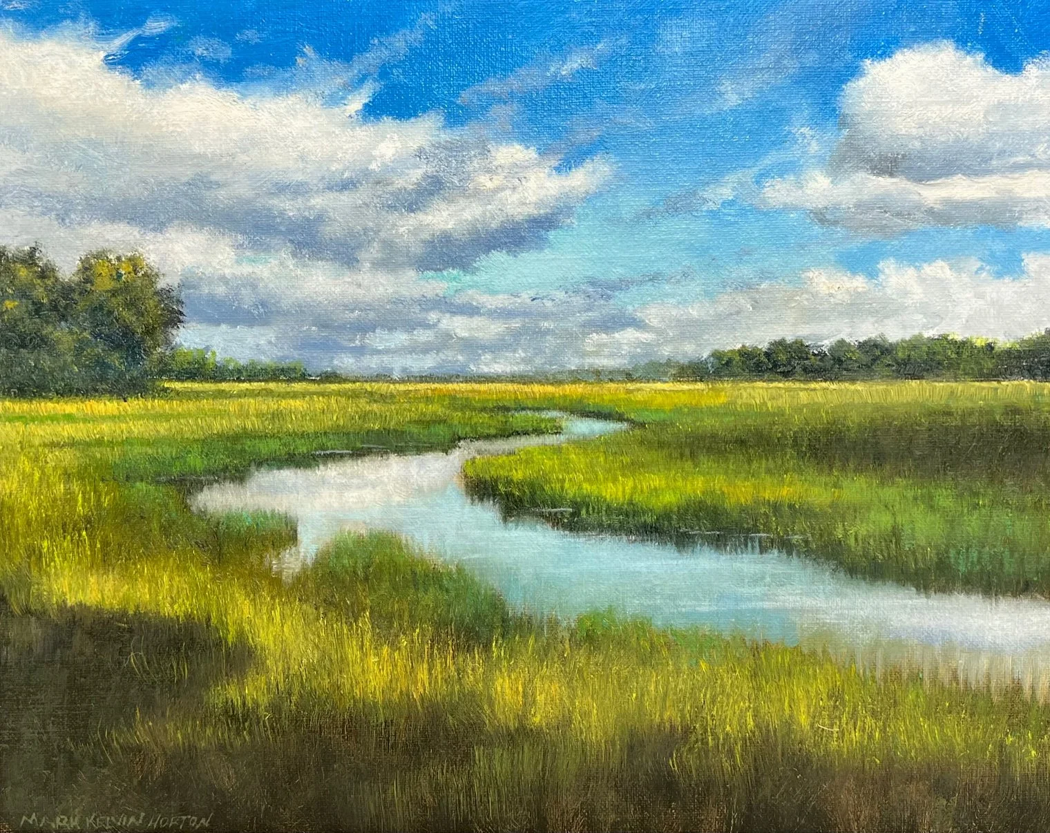 Marsh Shadows
