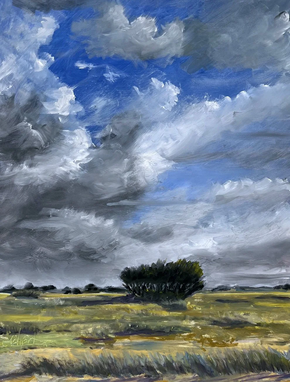 Masonboro Sky