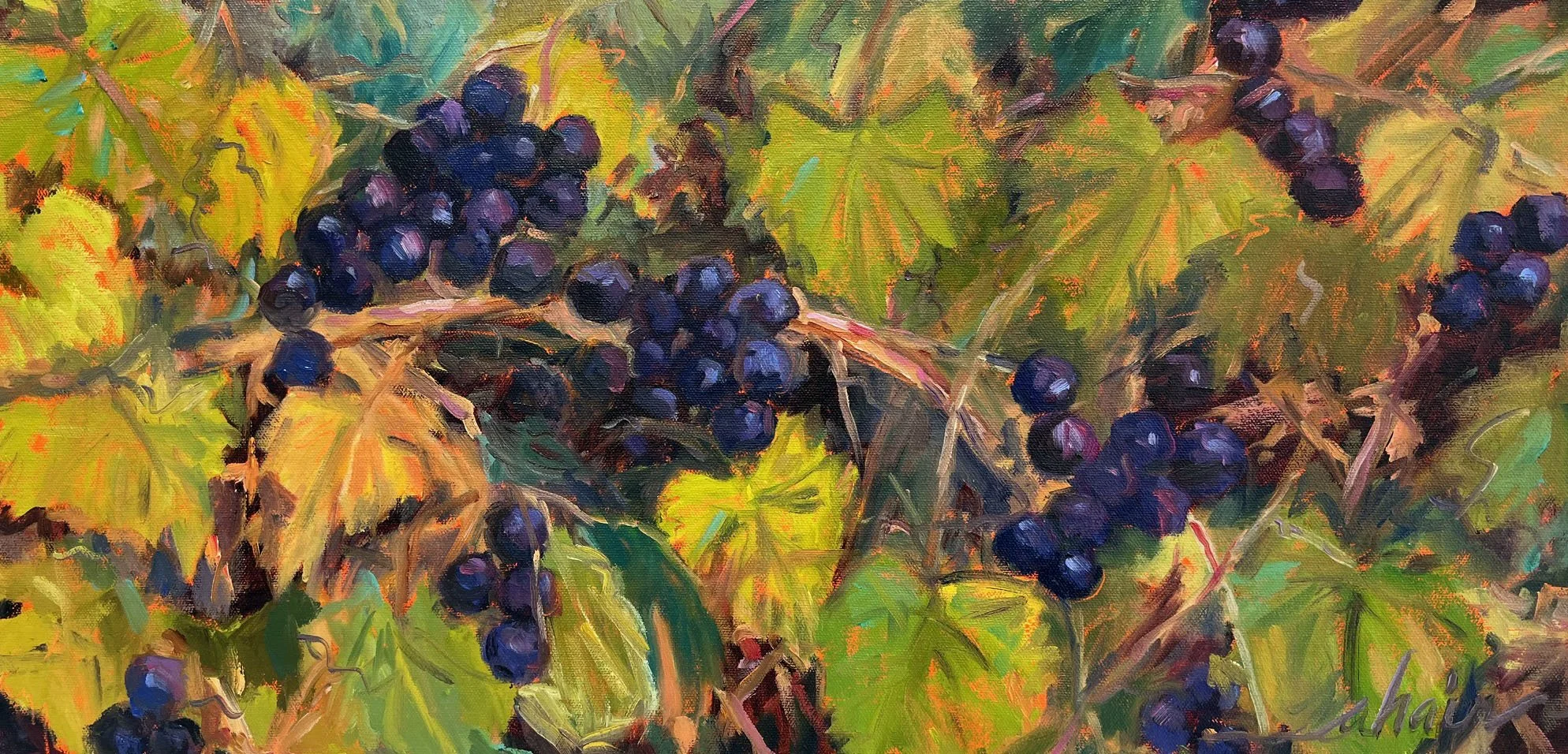Sweet Harvest