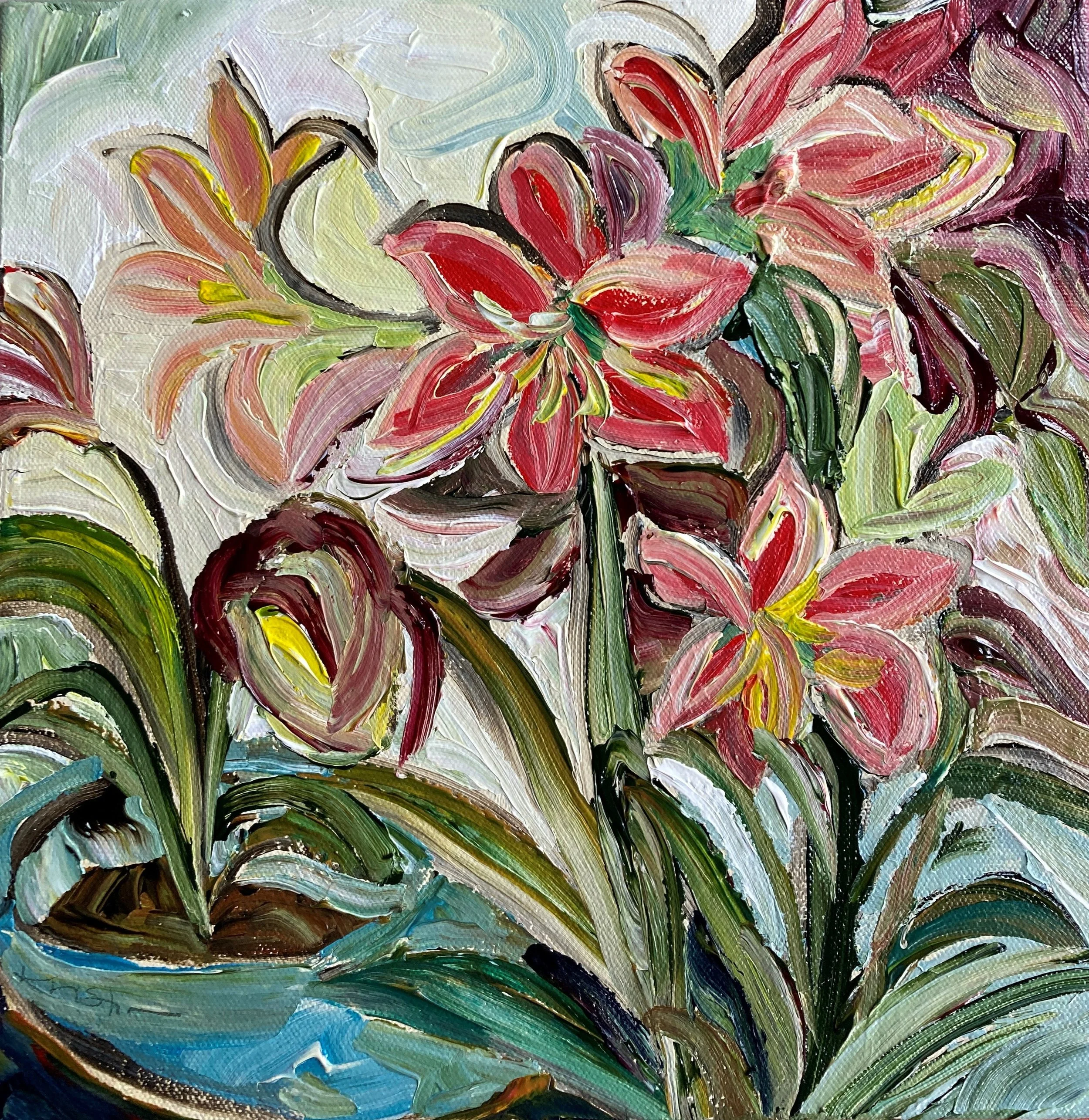 Amaryllis