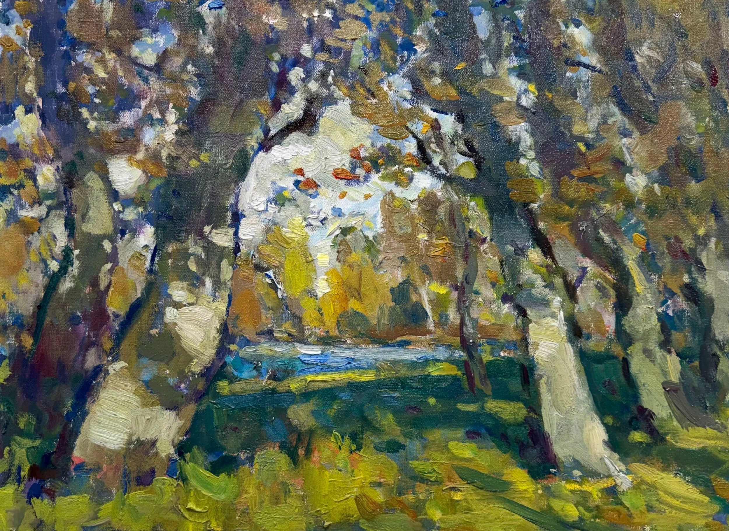 Beech Trees by a Lake