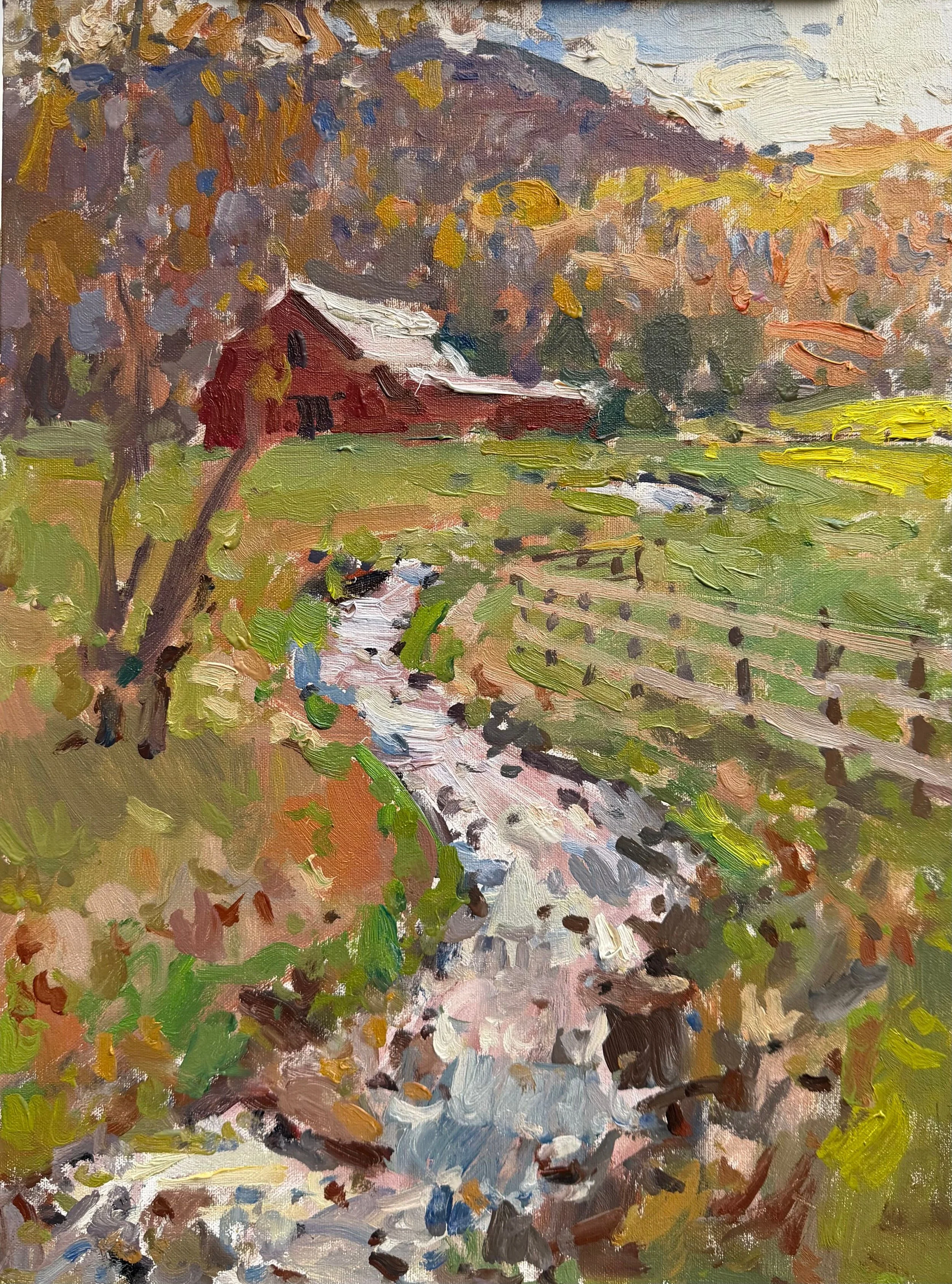 Meandering Mountain Stream