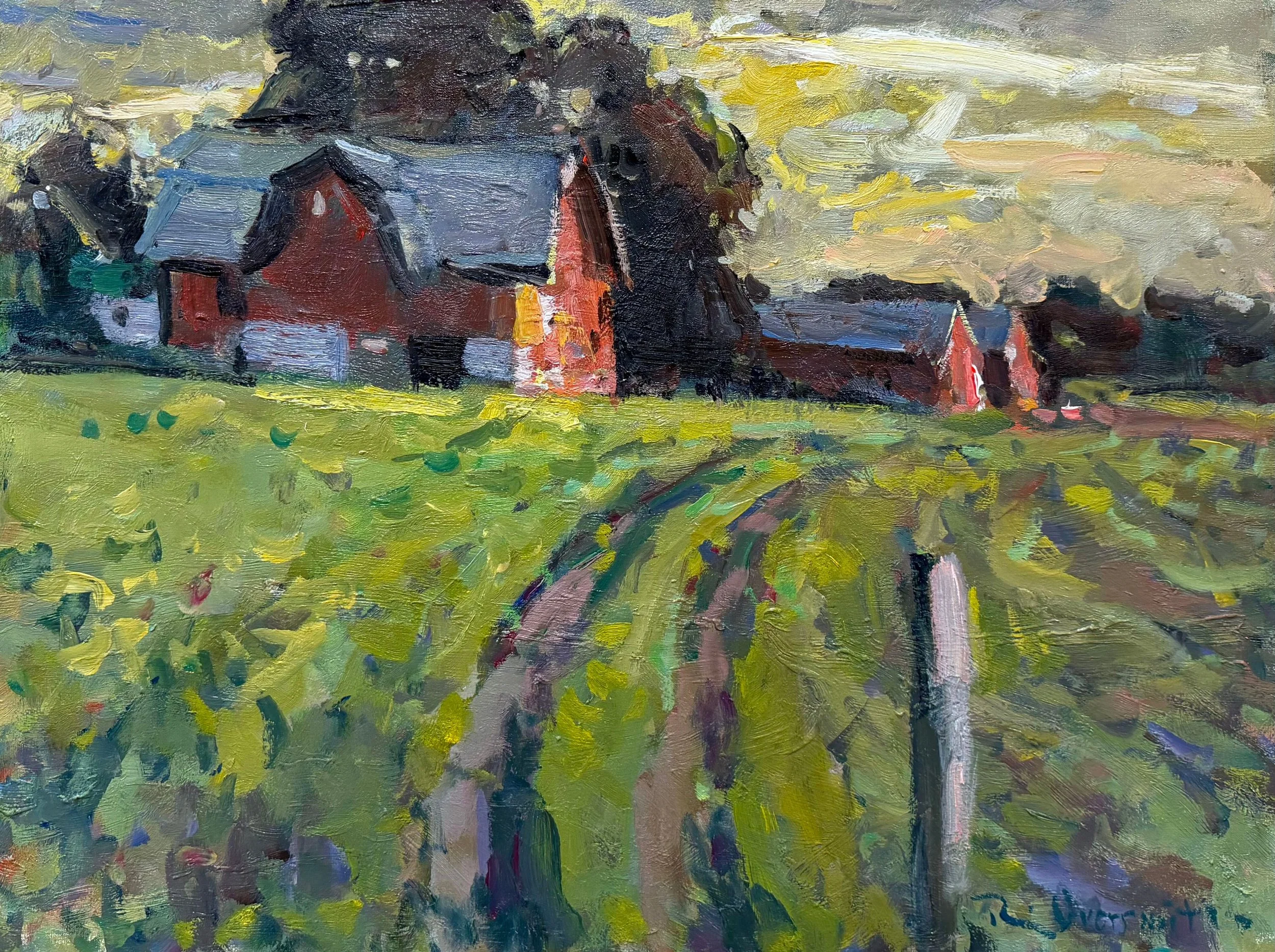 Morning Light Barns
