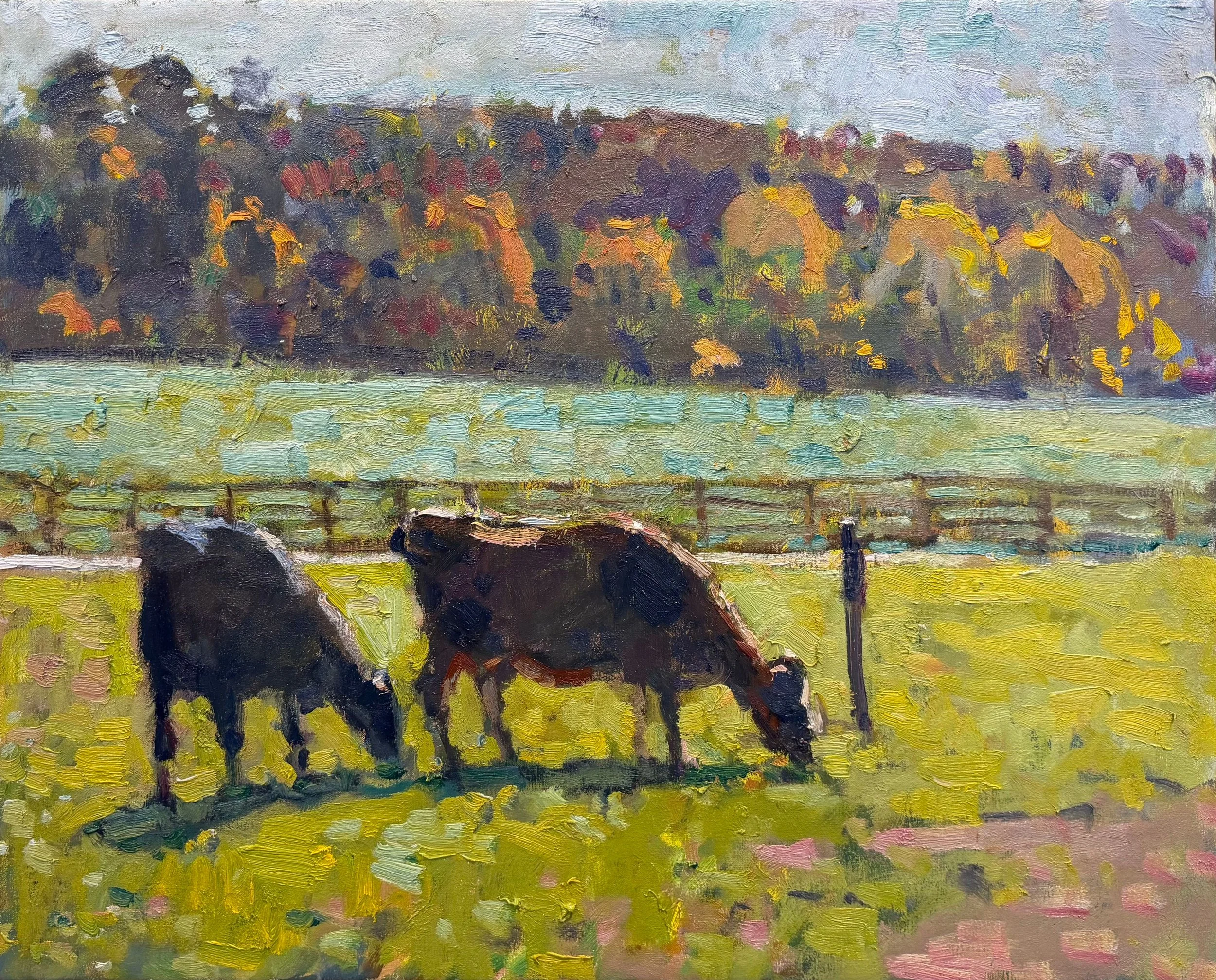 November Cows
