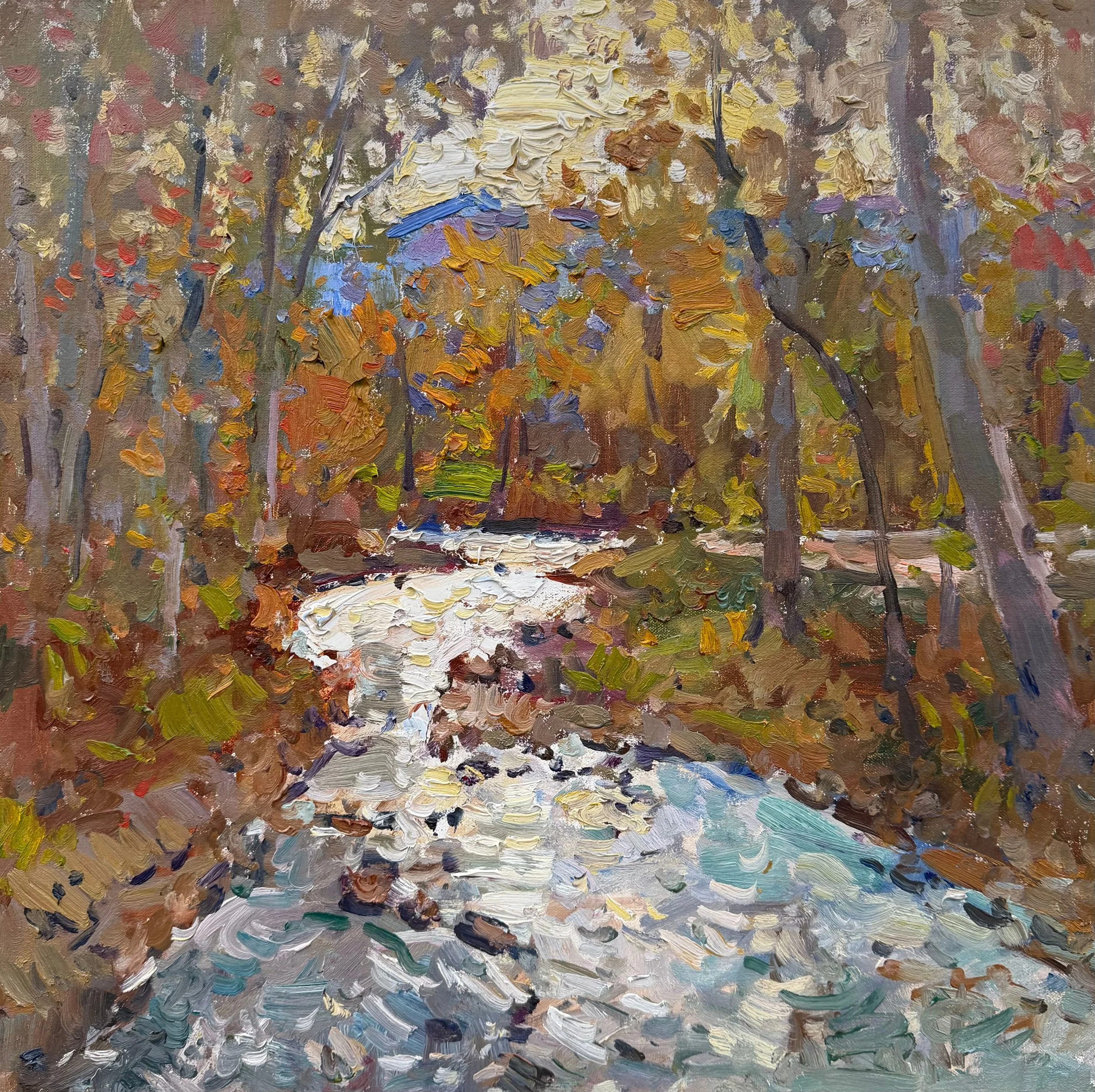 Shimmering Mountain Stream
