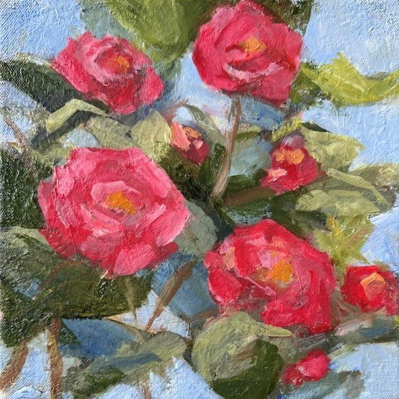 Camellia Japonica Red