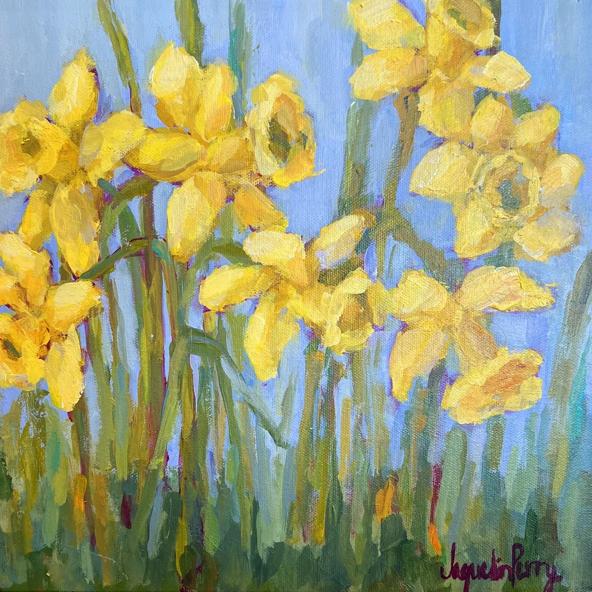 First Daffodils