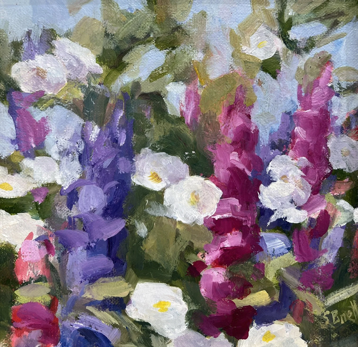 Snapdragons