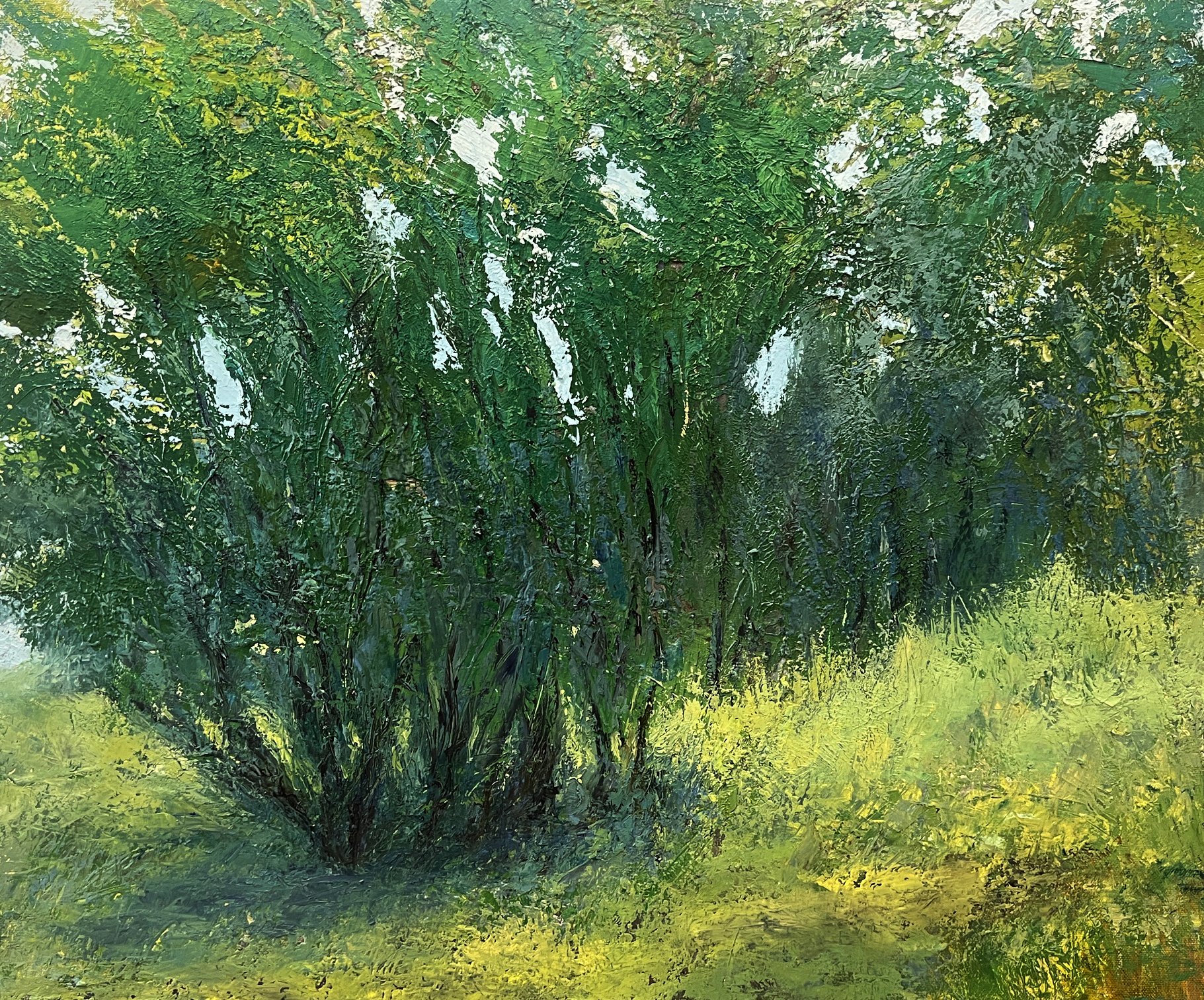 Forest Glen