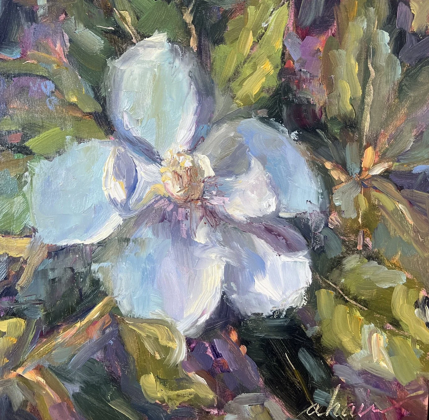 Summer Magnolia