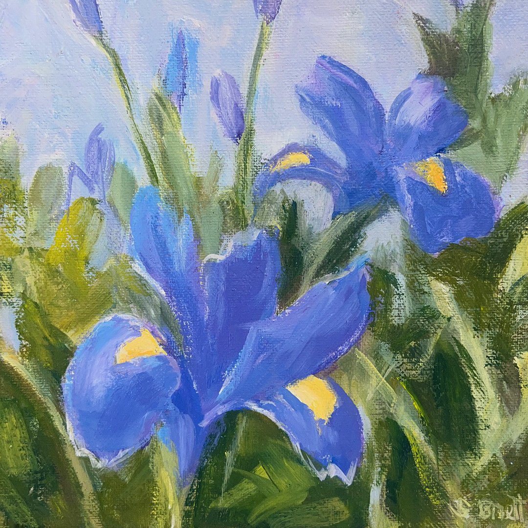Iris