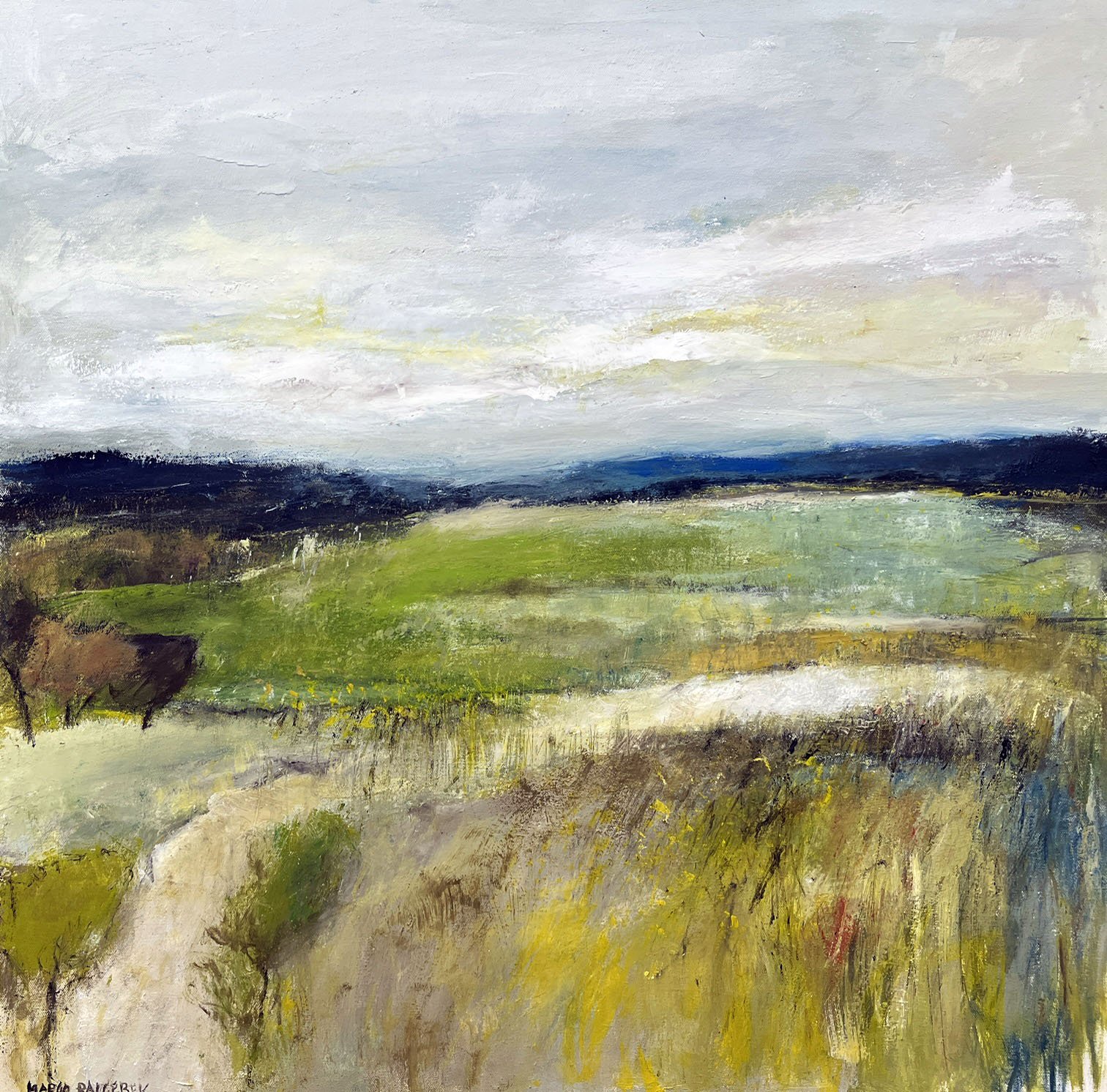 The Way of the Cloudy Meadow