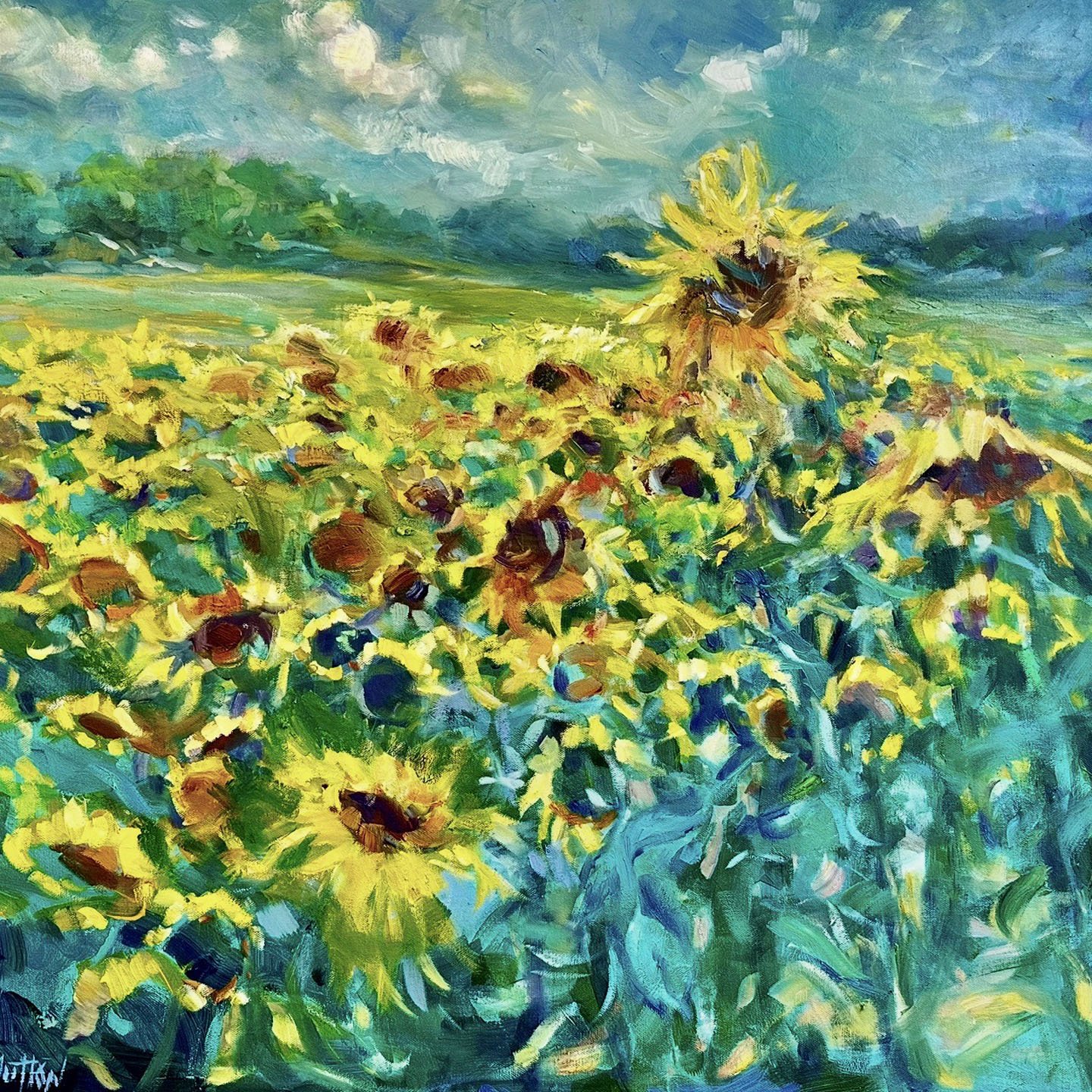 Field of Sunshine