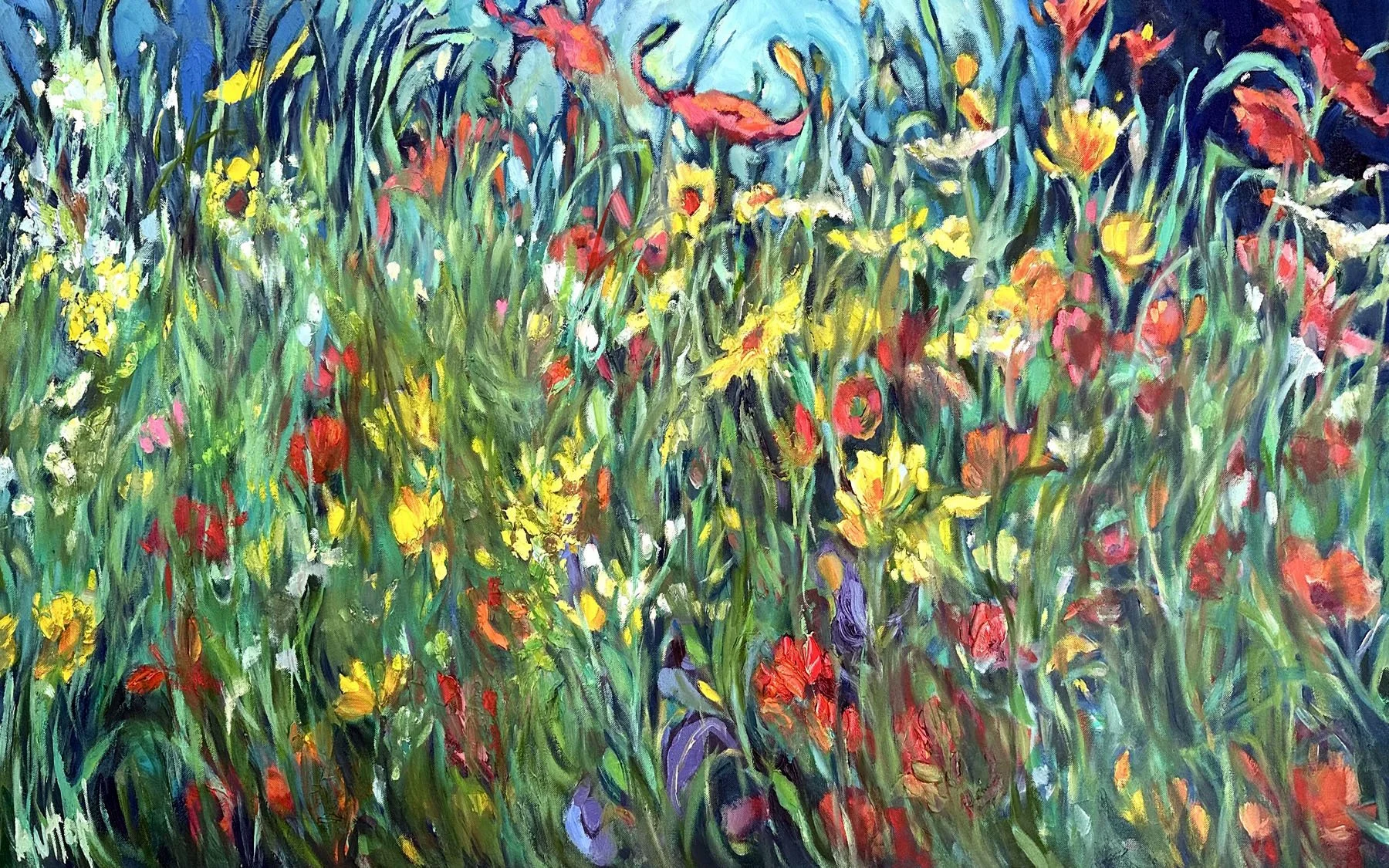 Wonderland