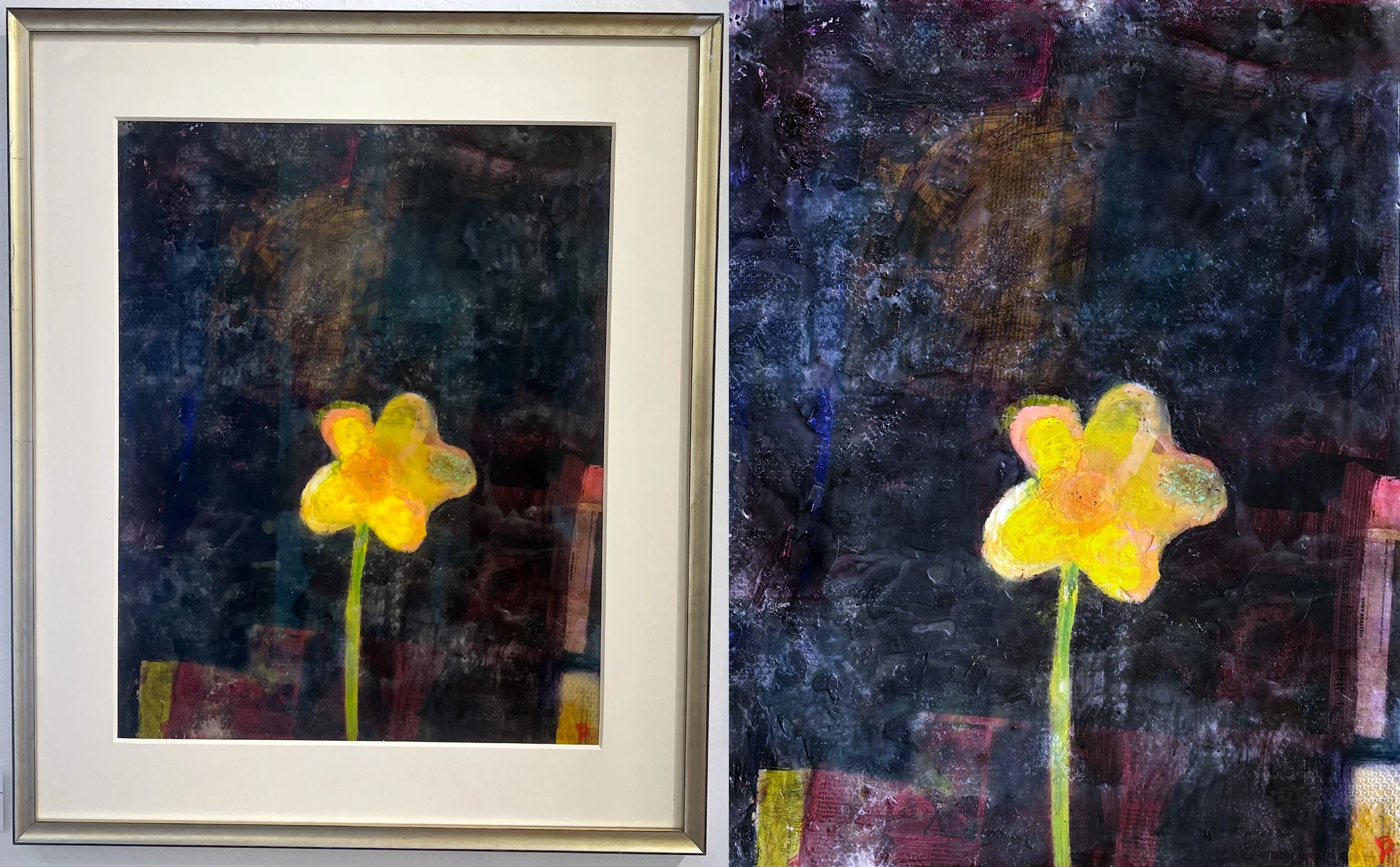 Yellow Night Flower