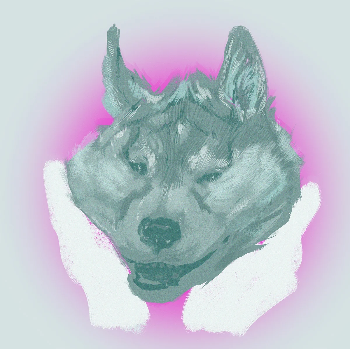 HUSKY