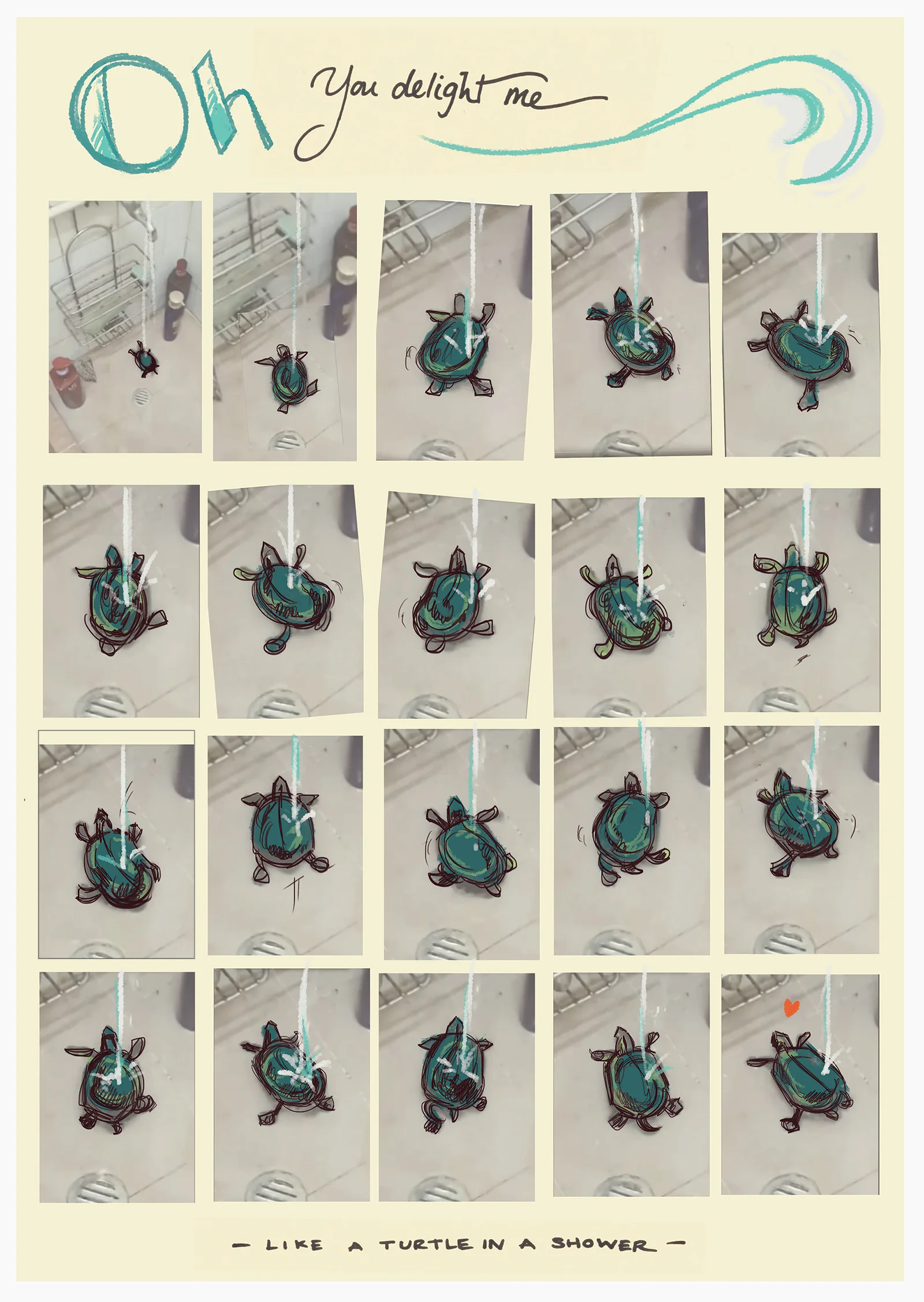 Meme Valentine - Turtle Shower Edition