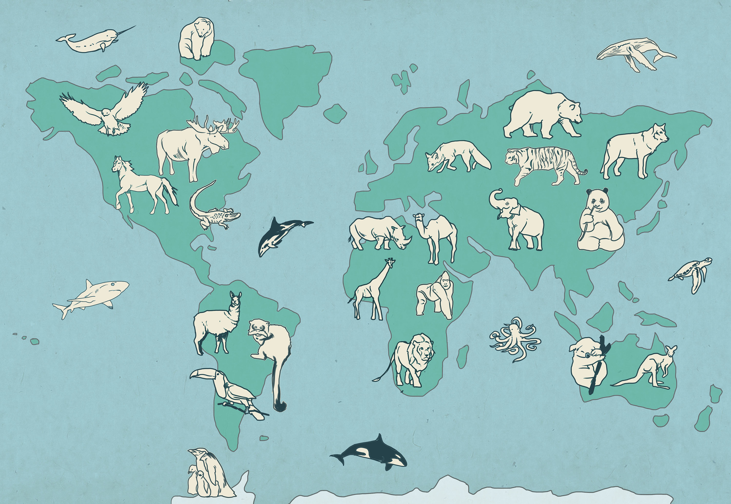 Animals Around the World - For the Lil Guys
