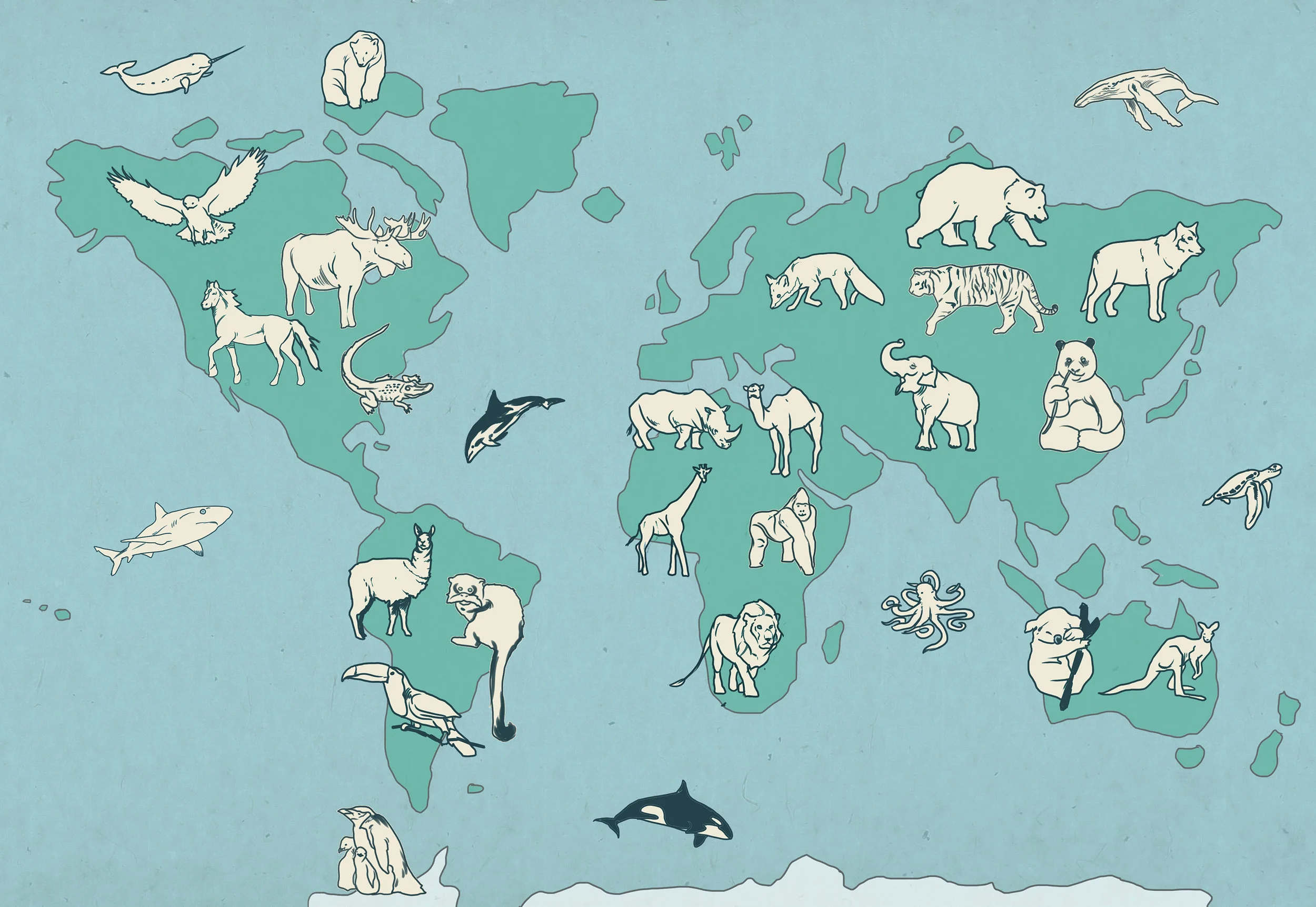 Animals Around the World - For the Lil Guys