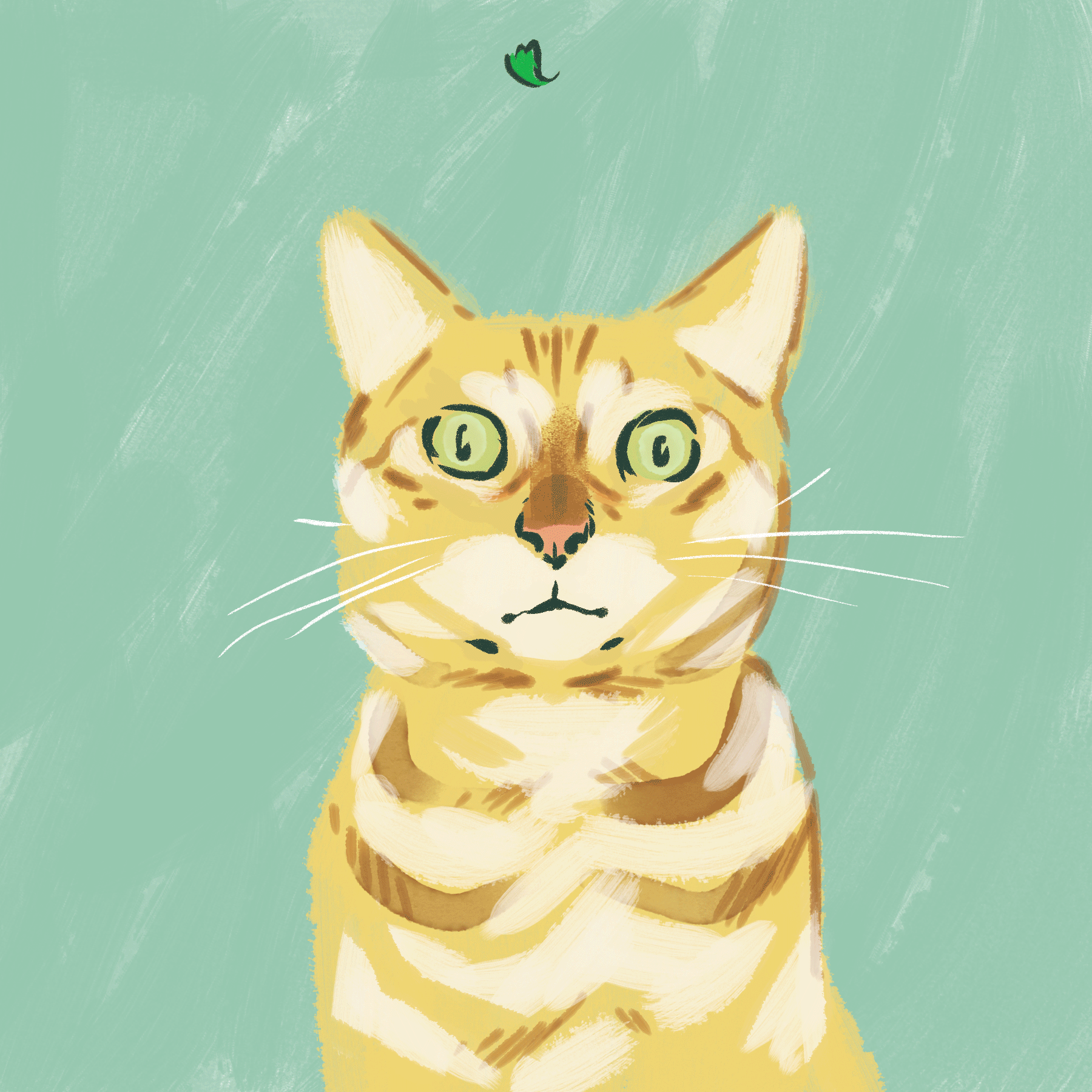 Catnip01.gif
