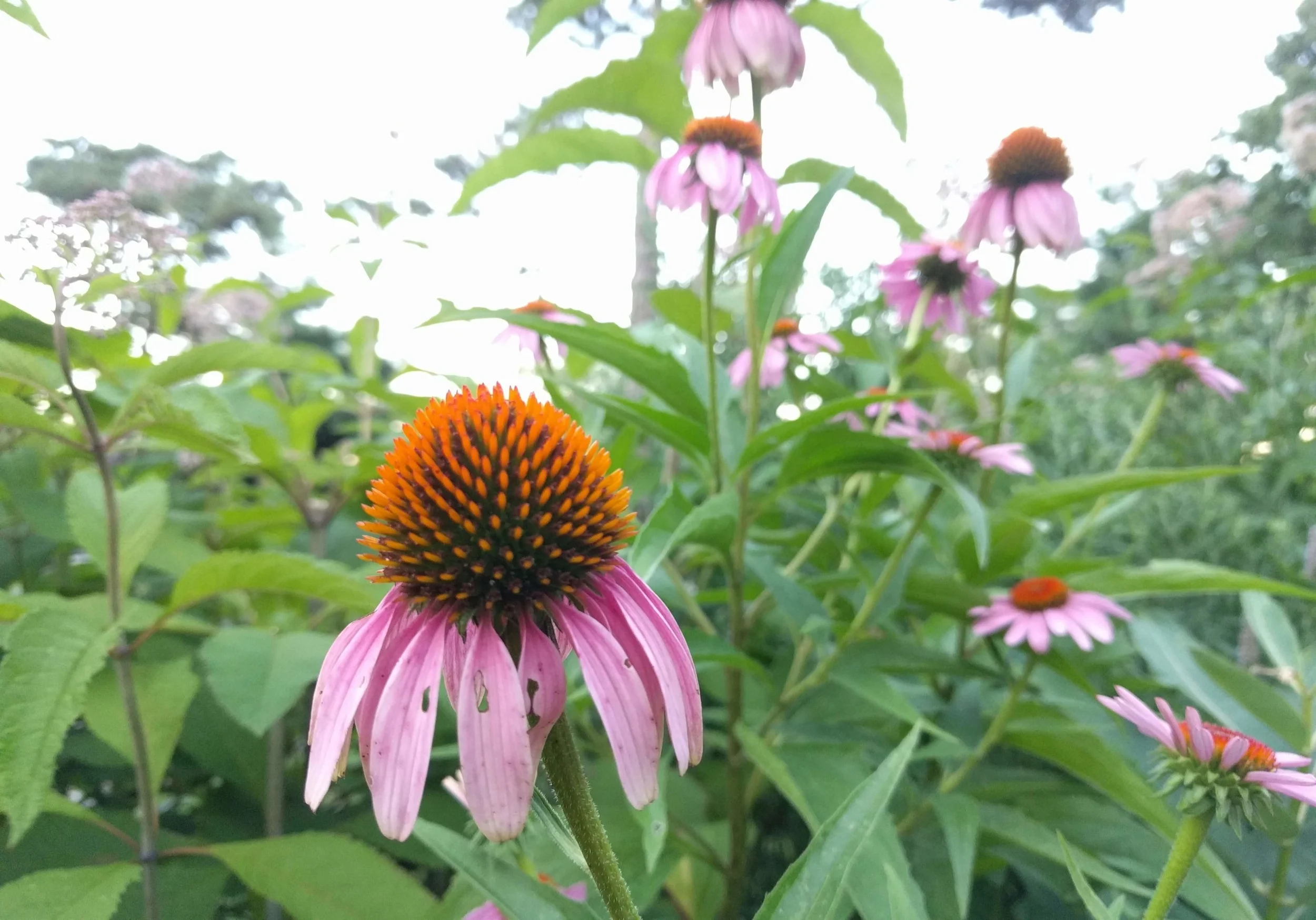 Episode Six - Quadrumvirate, Sundance Short Films, and Moving to NYC