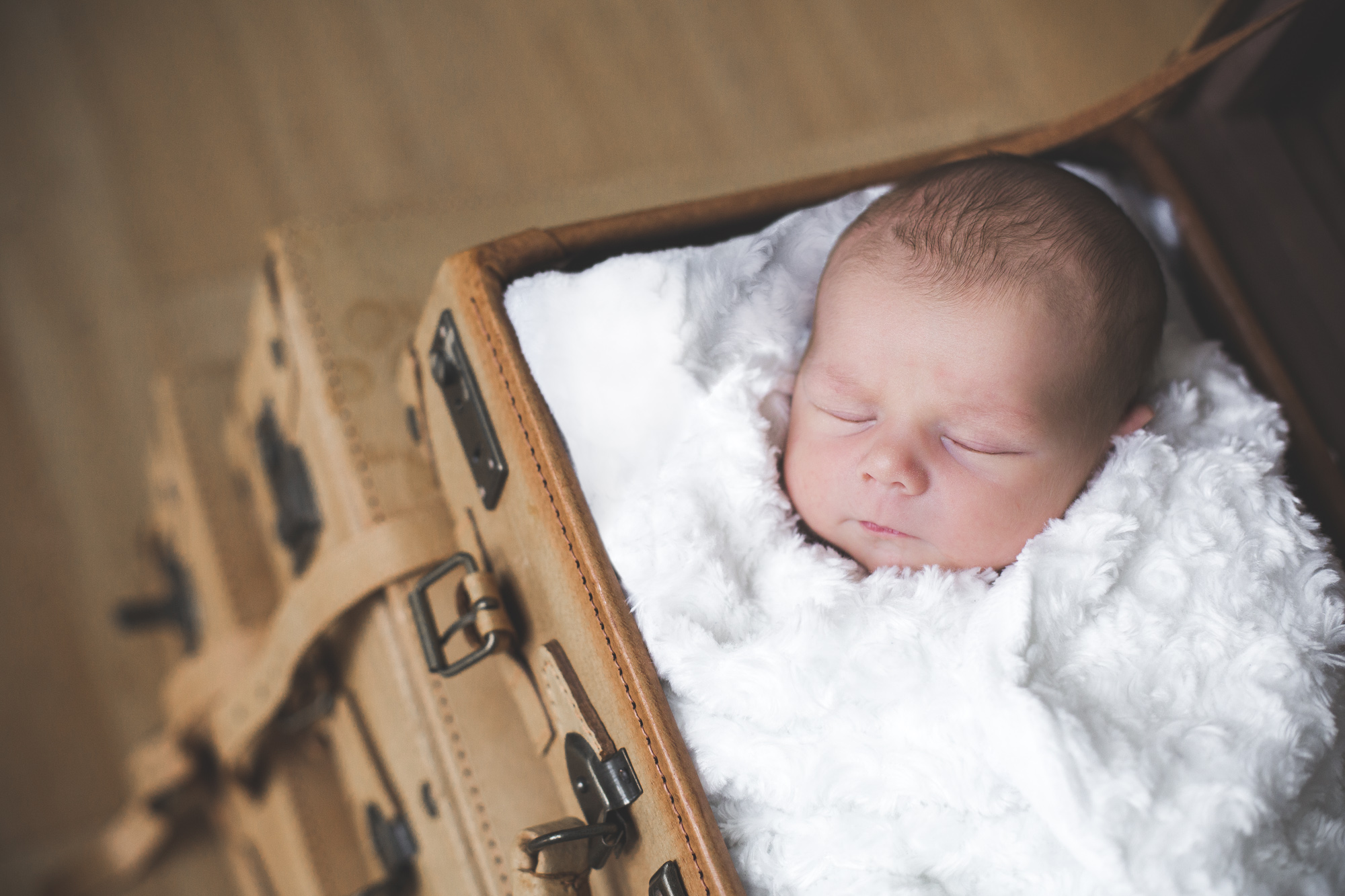 IMG_1367-Edit-Edit.jpg