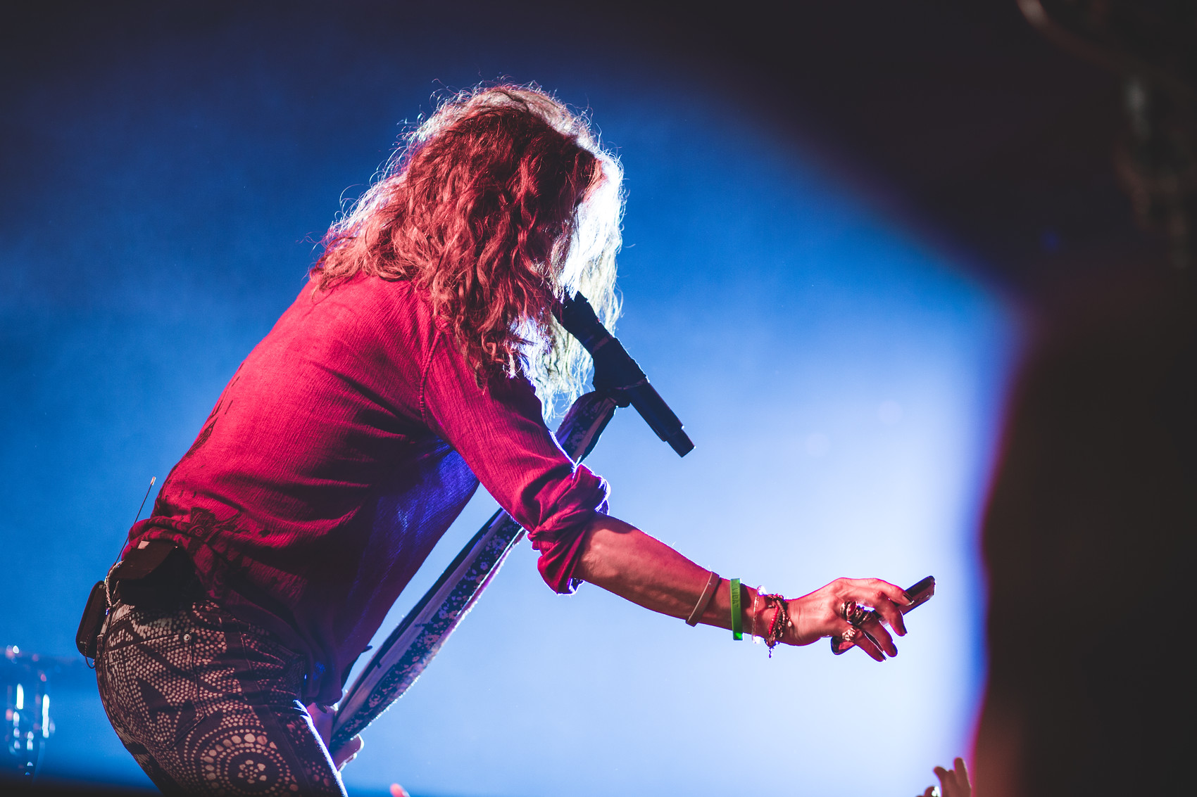 adam-szarmack-steven-tyler-4.jpg