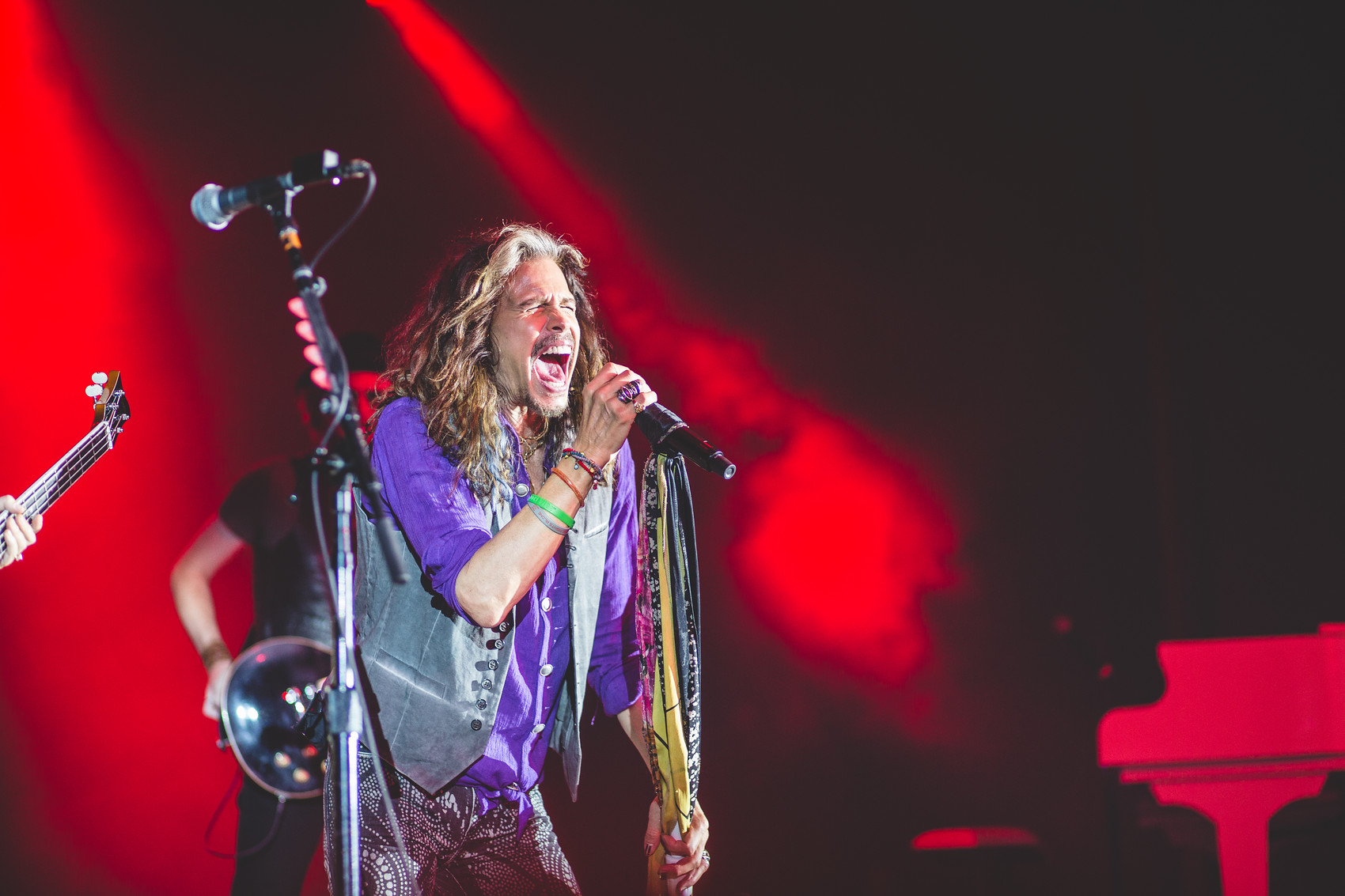 adam-szarmack-steven-tyler-7.jpg