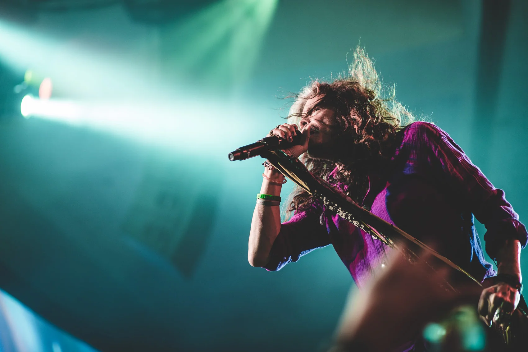 adam-szarmack-steven-tyler-8.jpg