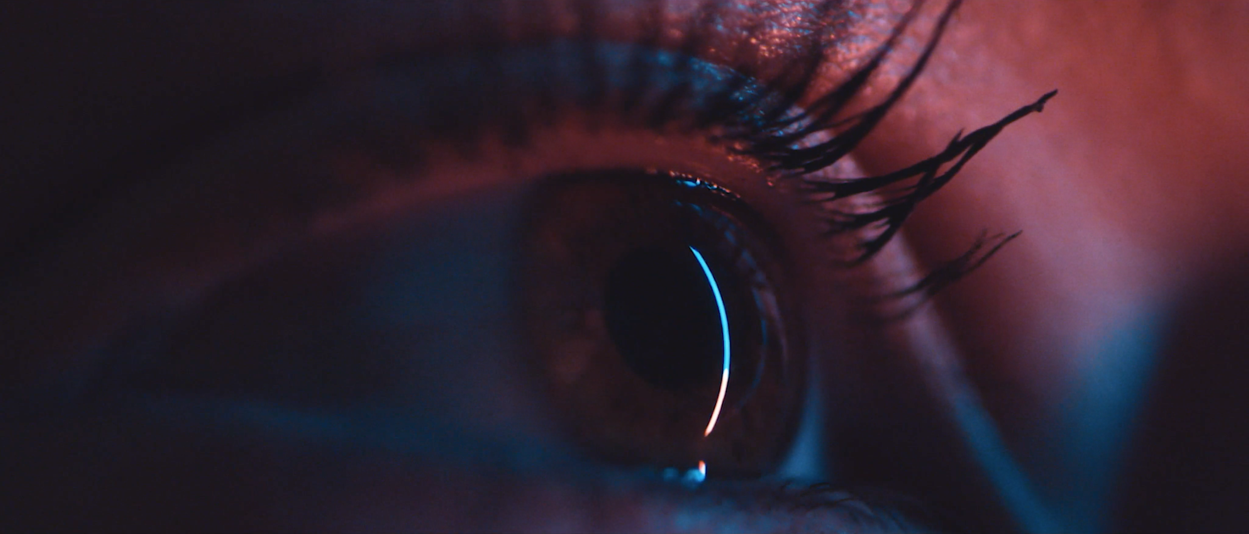 Screen Shot 2019-09-20 at 2.19.24 PM.png