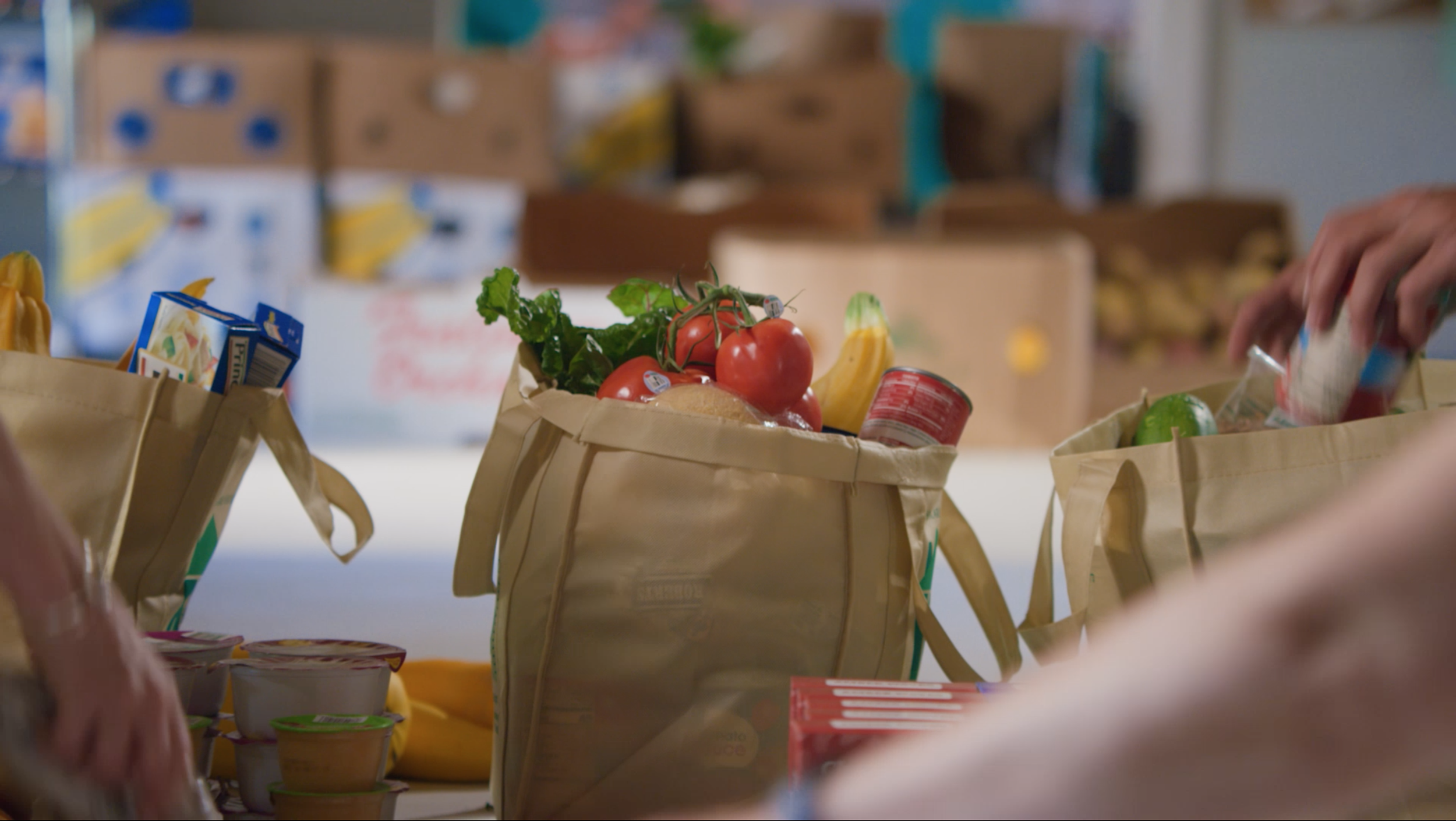 Screen Shot 2023-08-22 at 3.37.19 PM.png