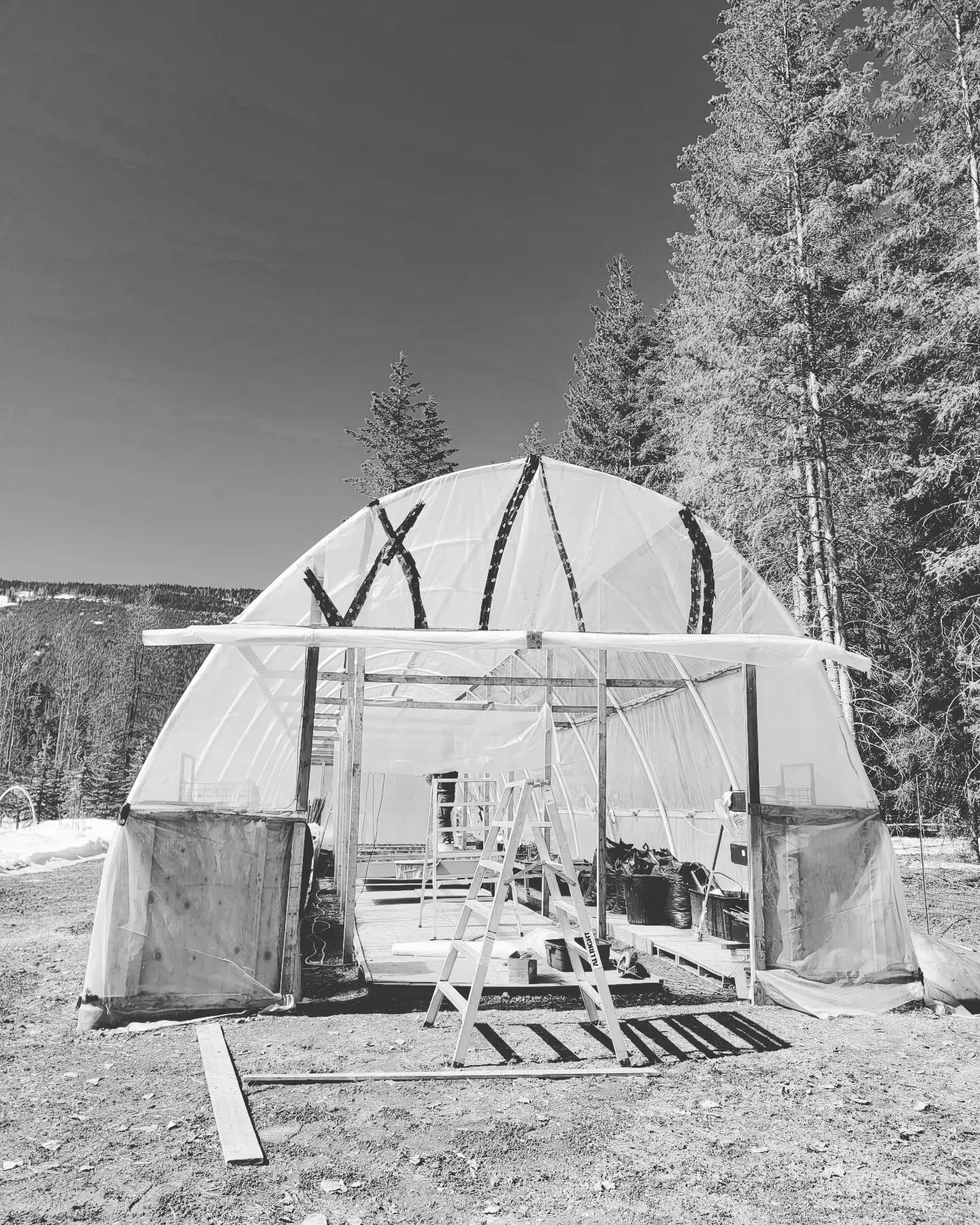 It's greenhouse season at #fissipesfarm ! 

Finally, getting enough snowmelt to tackle projects like sectioning off half the greenhouse for sowing seeds, and adding extra heat and supplemental light so we can vegetate seedlings 🌱 

Later, as the wea