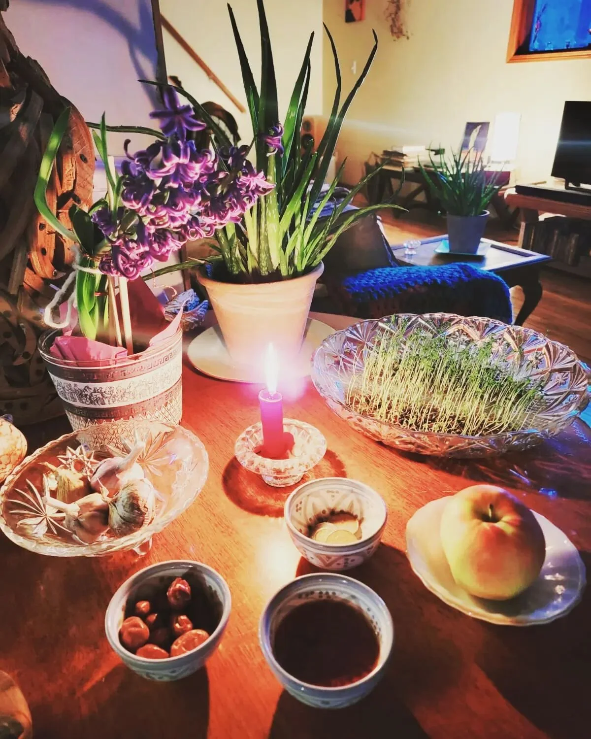 Happy first day of spring! , Eid Nowruz 💜🌱🌱🌱 Mobarak

Celebrating new life ✨️, new energies,  and a renewal of love on this precious  planet of ours 💫💫💫🧡🩷❤️