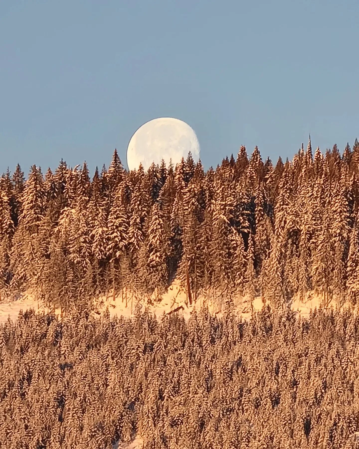 Moon Set over Farm, 2023 🤍 ⚪️ 🤍

A sight to behold 🌙 ☀️ 🌎 

How magical this dance of sun, moon, and earth! 
Witness and rejoice in all facets of this human lens, for we are only here a short time

#moonset #noillusions #witnesslife
#ephemeral #m