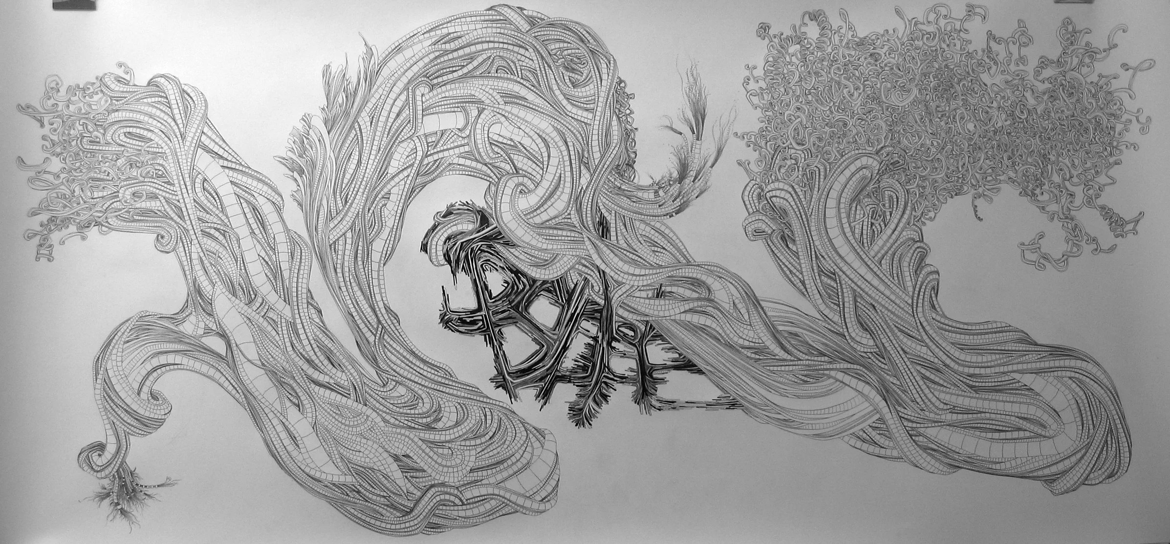 Untitled. 8x4 feet. Graphite. When I was young I made really large, really complicated drawings for the fuck of it, like this one. 