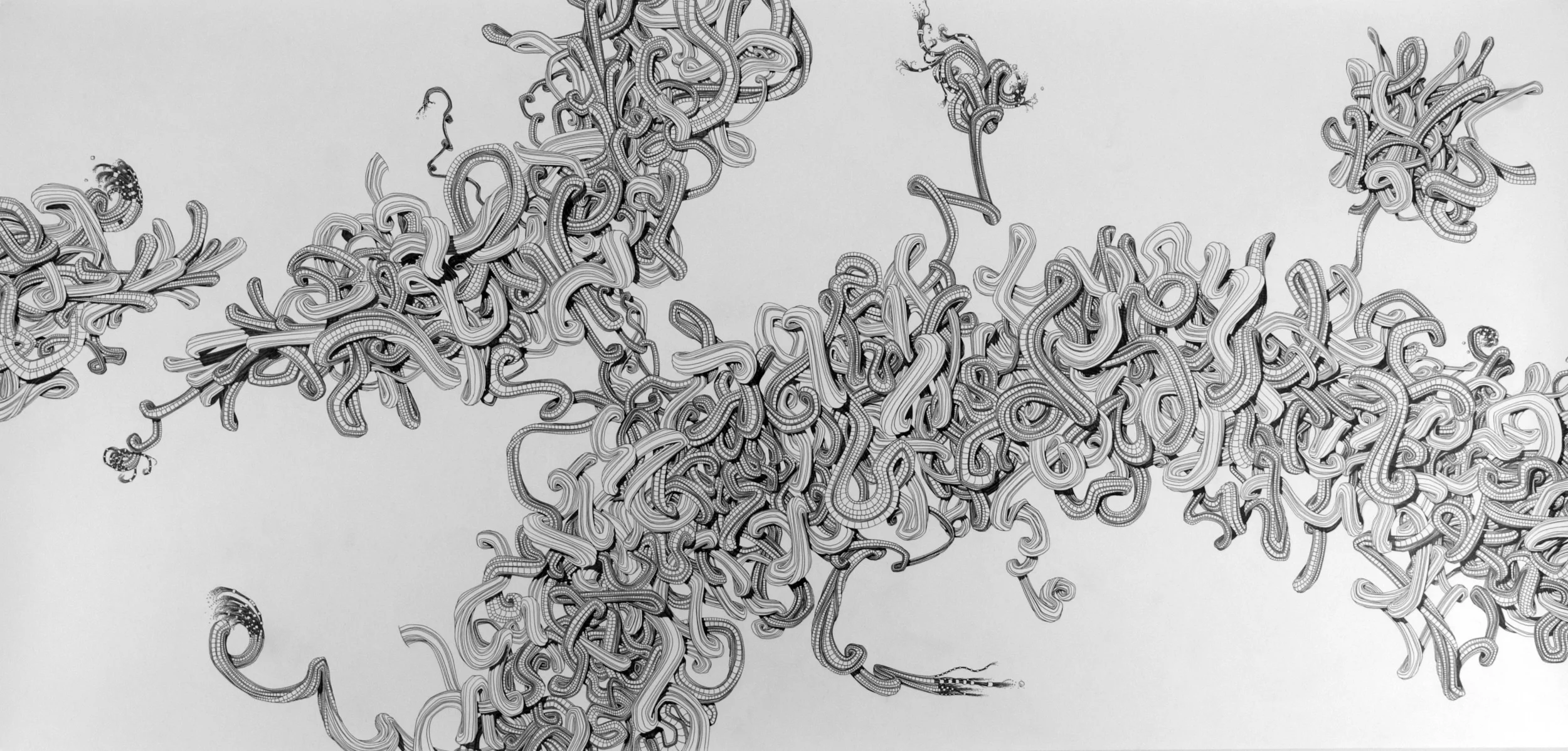 Untitled. 8x4 feet. Graphite. When I was young I made really large, really complicated drawings for the fuck of it, like this one. 