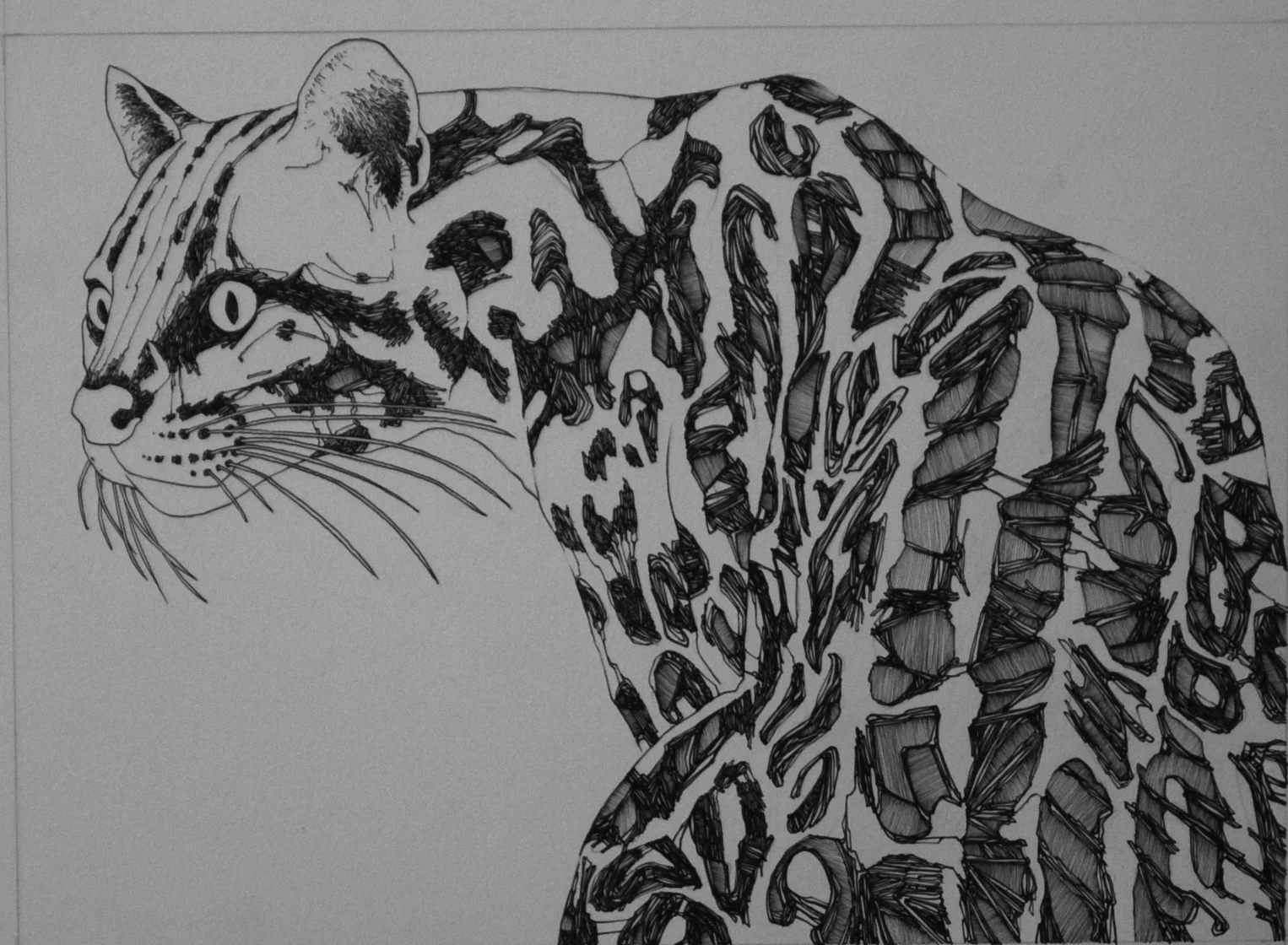 Ocelot.jpg