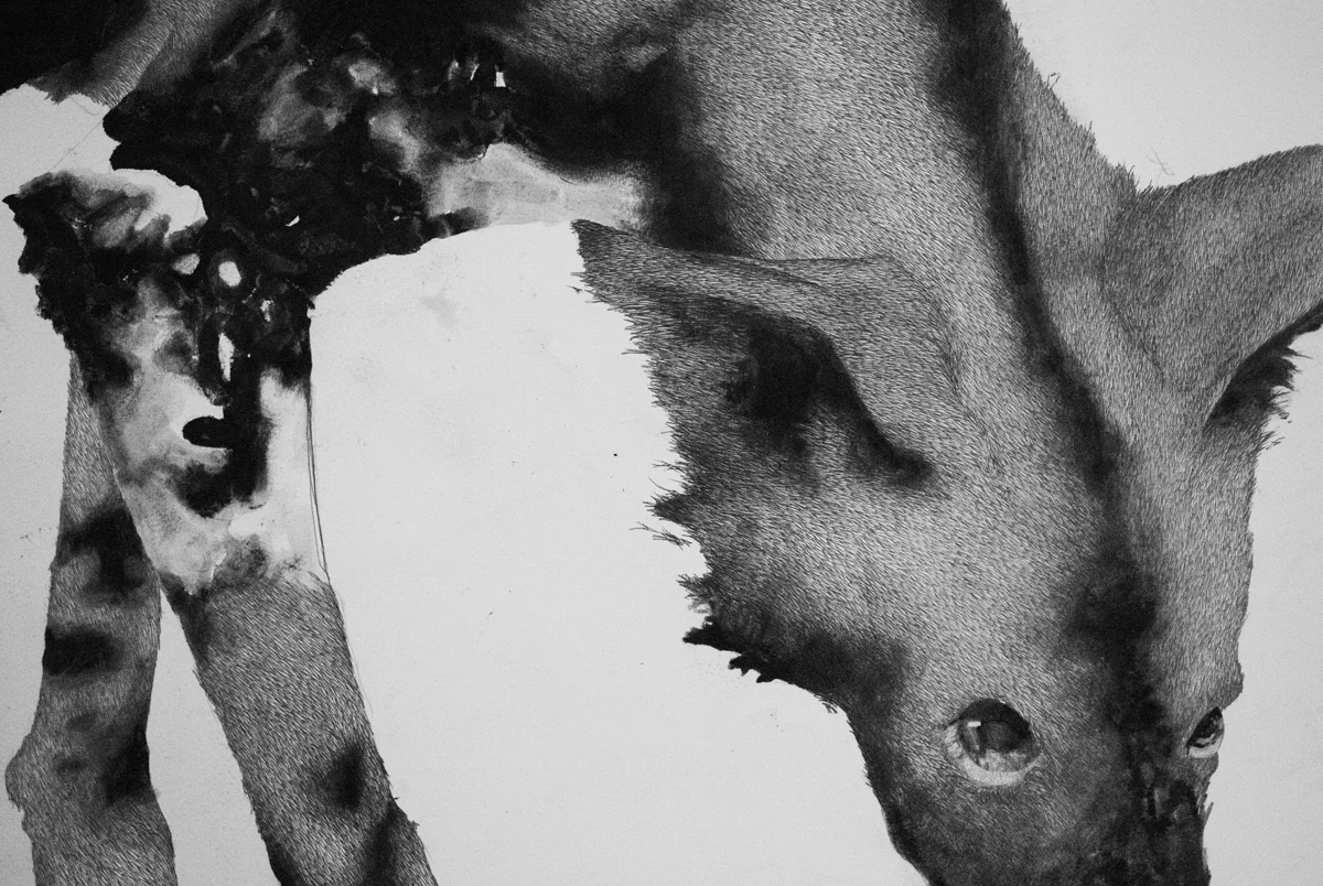 Samantha (detail) 2013 46"x42" Graphite on Paper. 