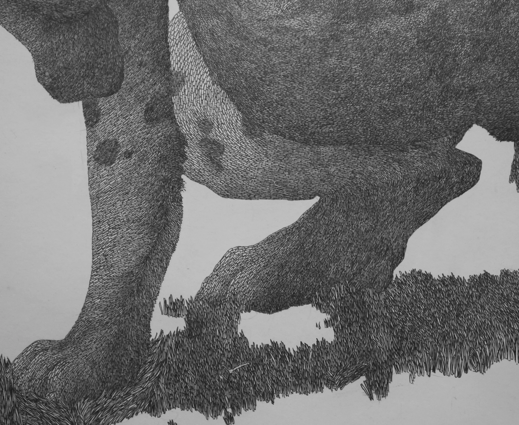 Submission (detail) 2012, 42"x42" Graphite on Paper. 