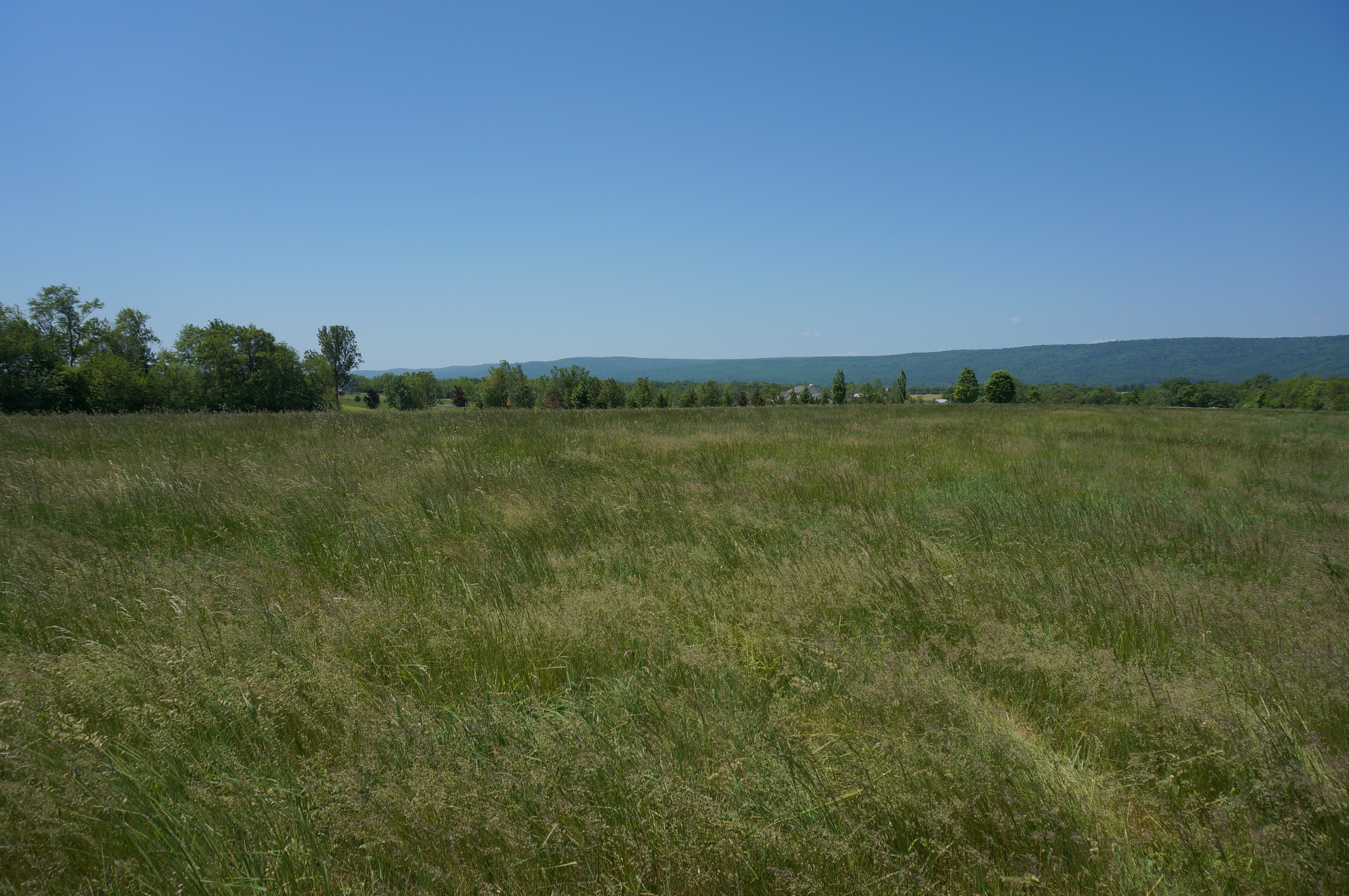 The view from Potomac Sprout's headquarters, west lies the Catoctin mountain range .