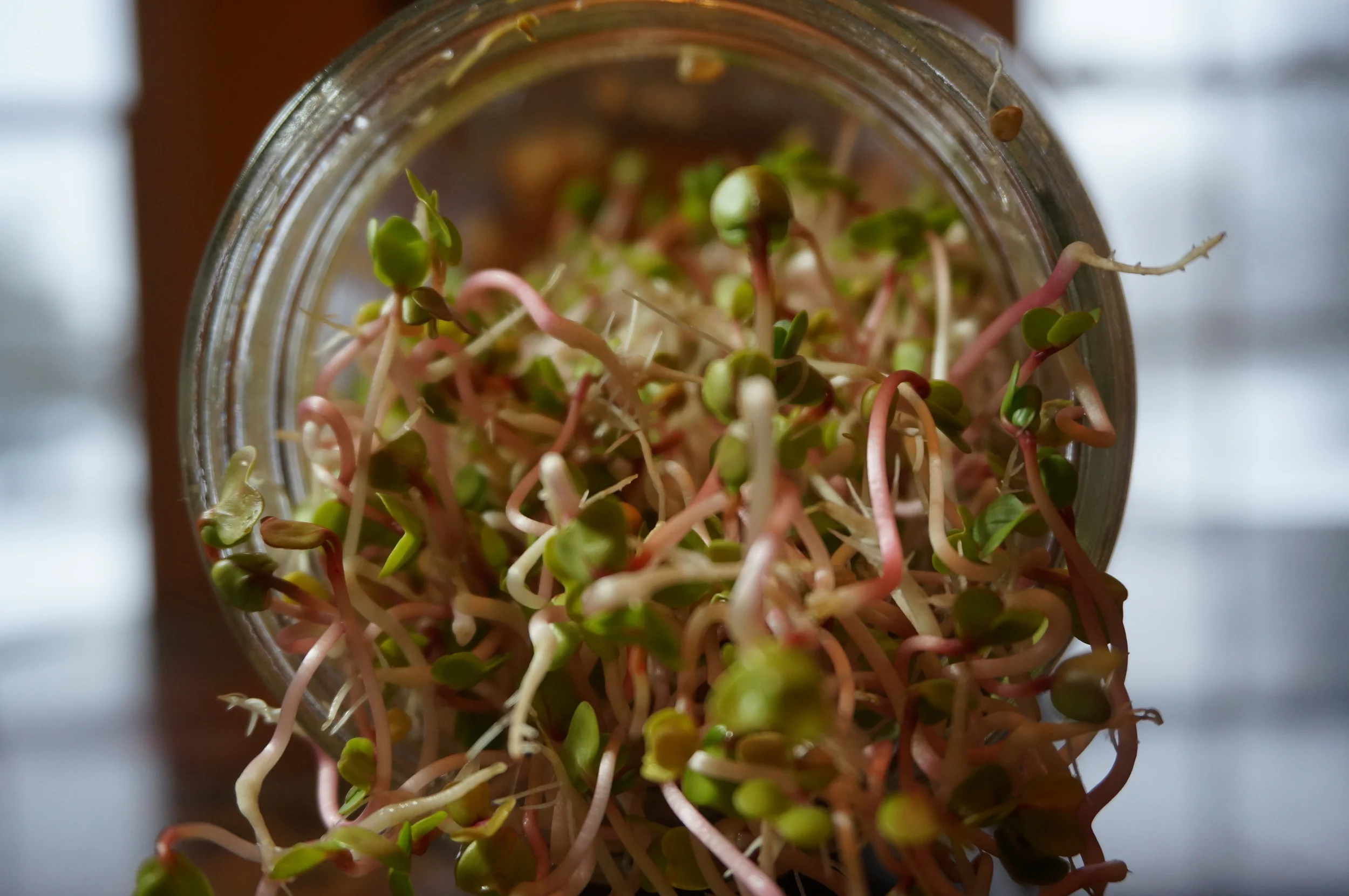 products background.JPG