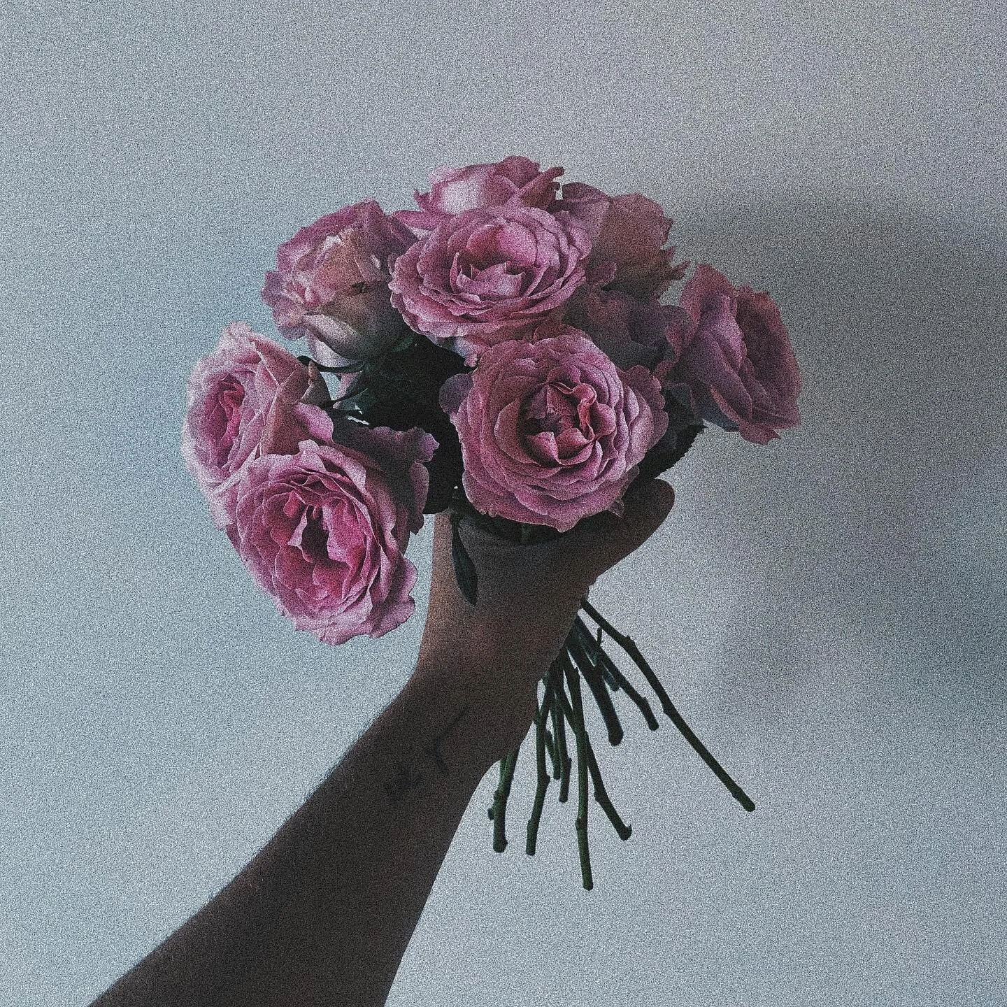 beautiful flowers remind me of my mama - miss her more than words can even express.