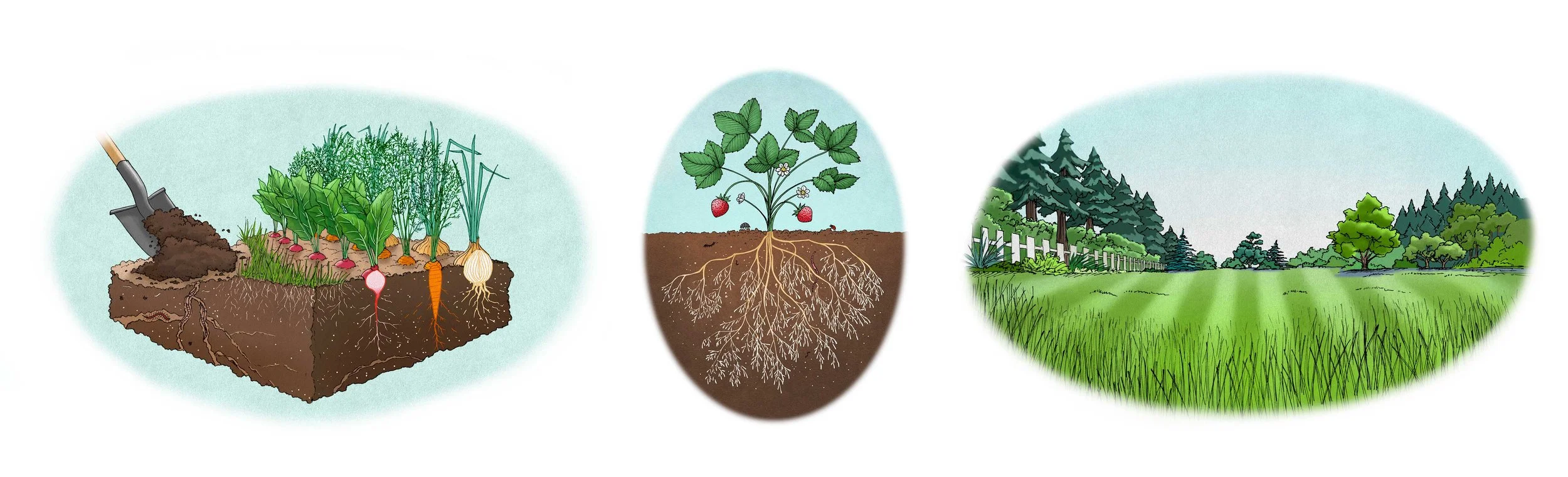 Feed-the-Soil.jpg