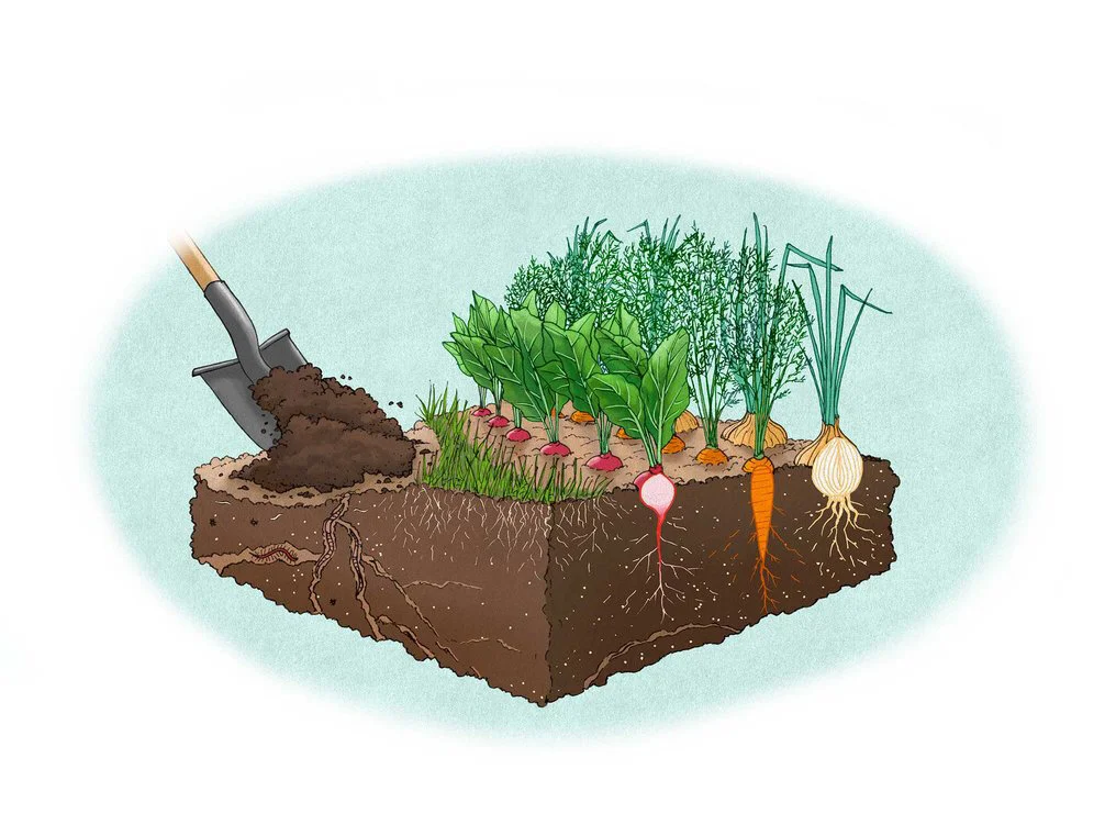 Feed-the-Soil 1.jpg
