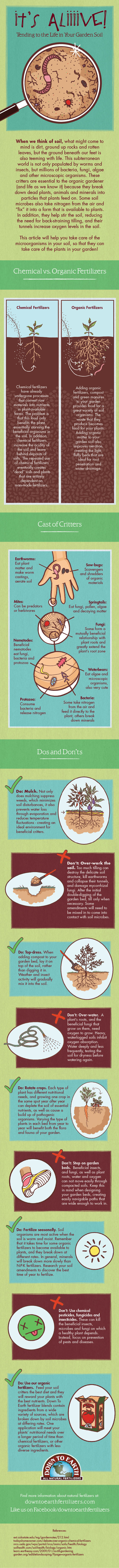 DTE_Soil_Microbe_Infographic.jpg