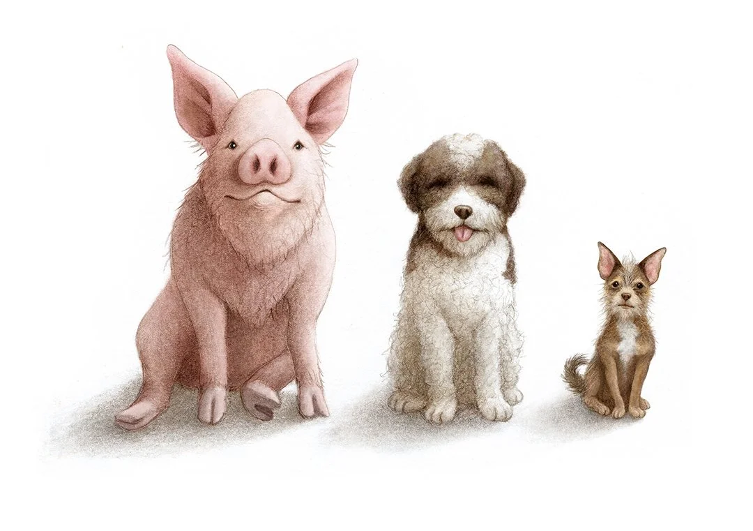 Drool Magazine, Truffle Dogs and Pig.jpg