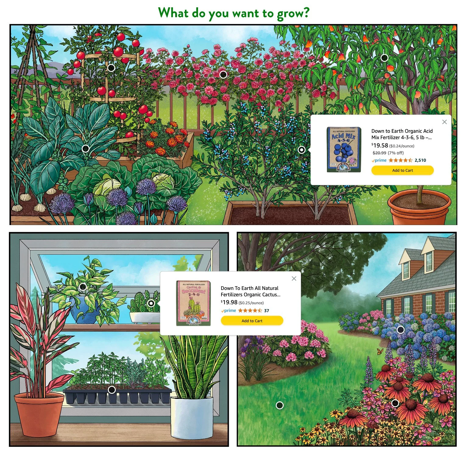 Amazon Clickable Infographic.jpg