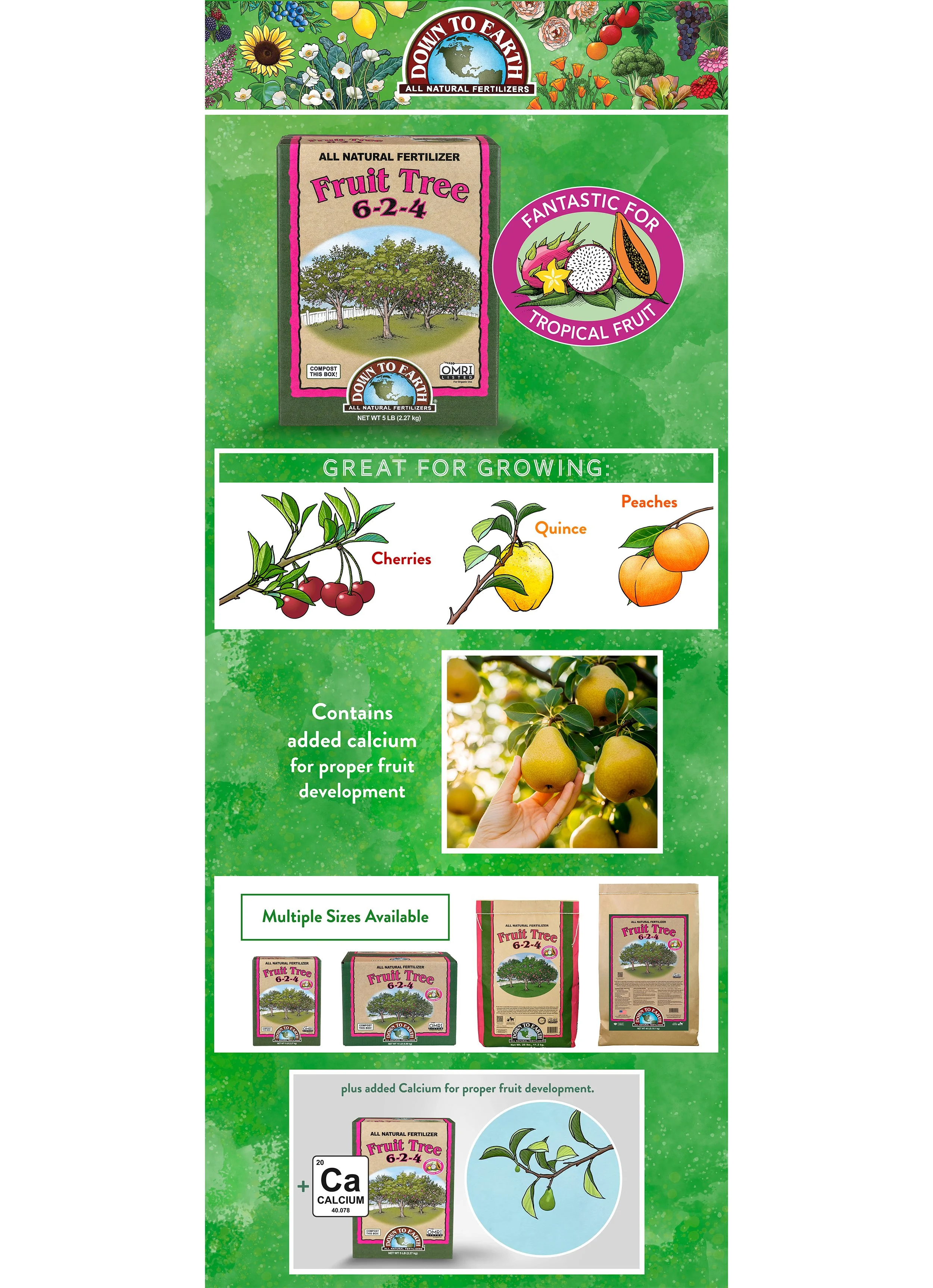 DTE Fruit Tree Premium A+ Large Module.jpg