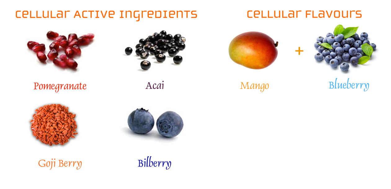 Cellular Ingredients.jpg