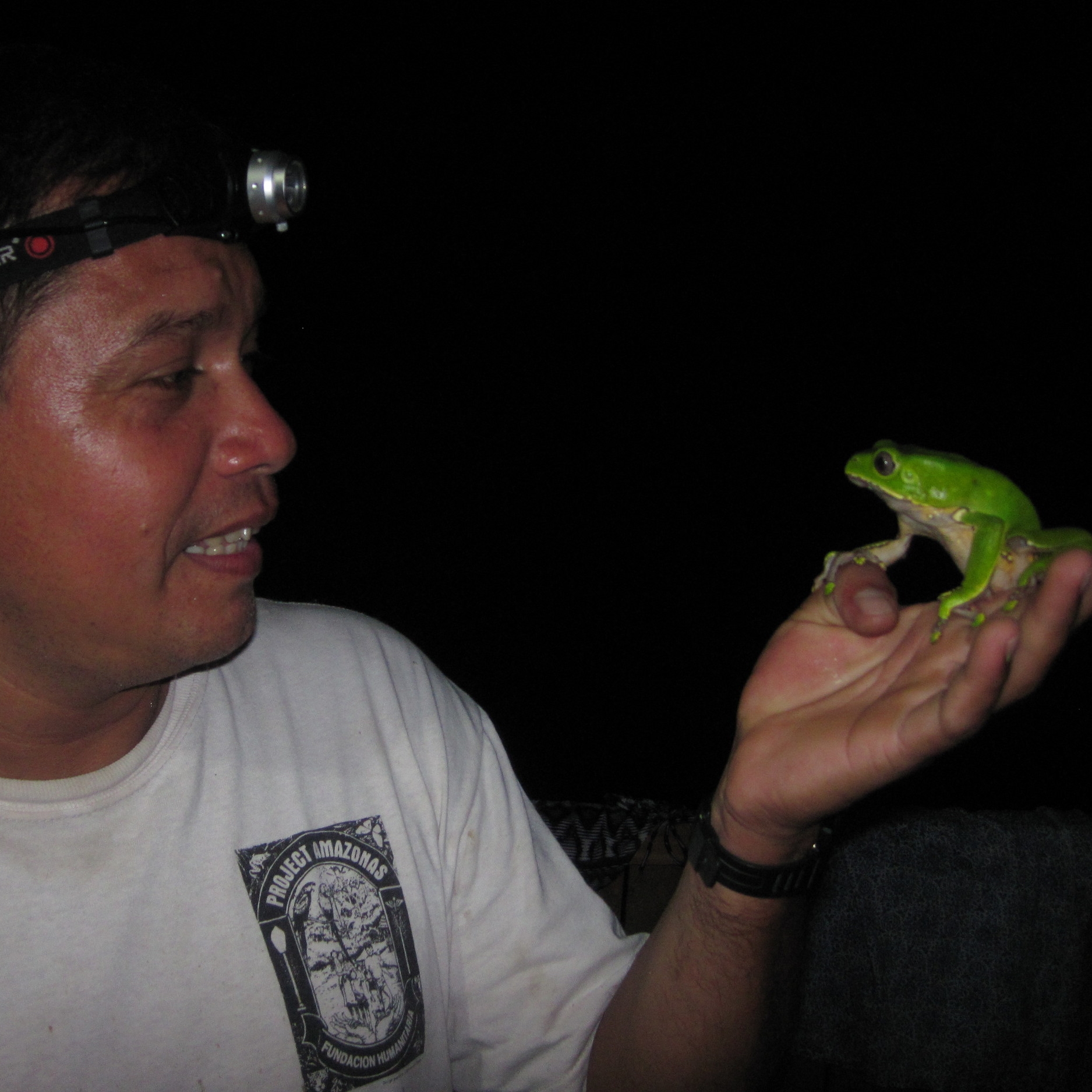  Emerson Torres with giant monkey frog ( Phyllomedusa bicolor ) 